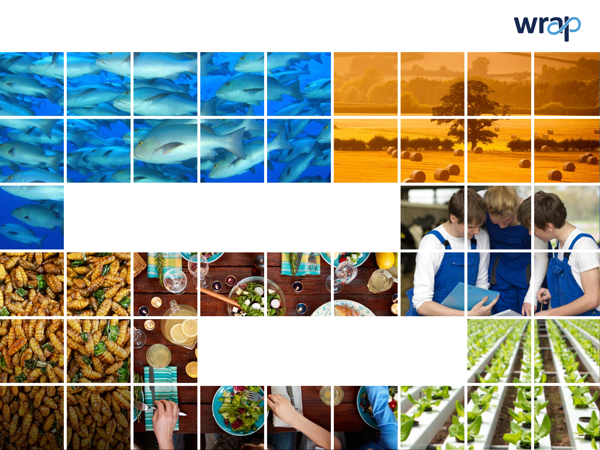 Food Futures: from business as usual to business unusual
