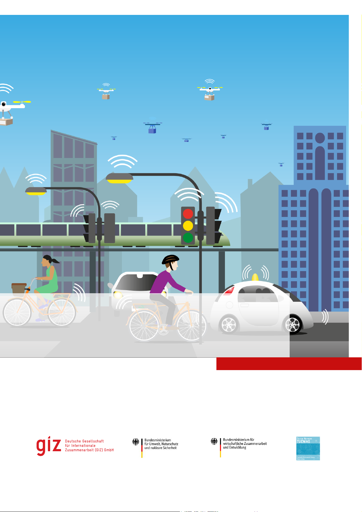 The Uptake of New Mobility Services: Learnings from Asia