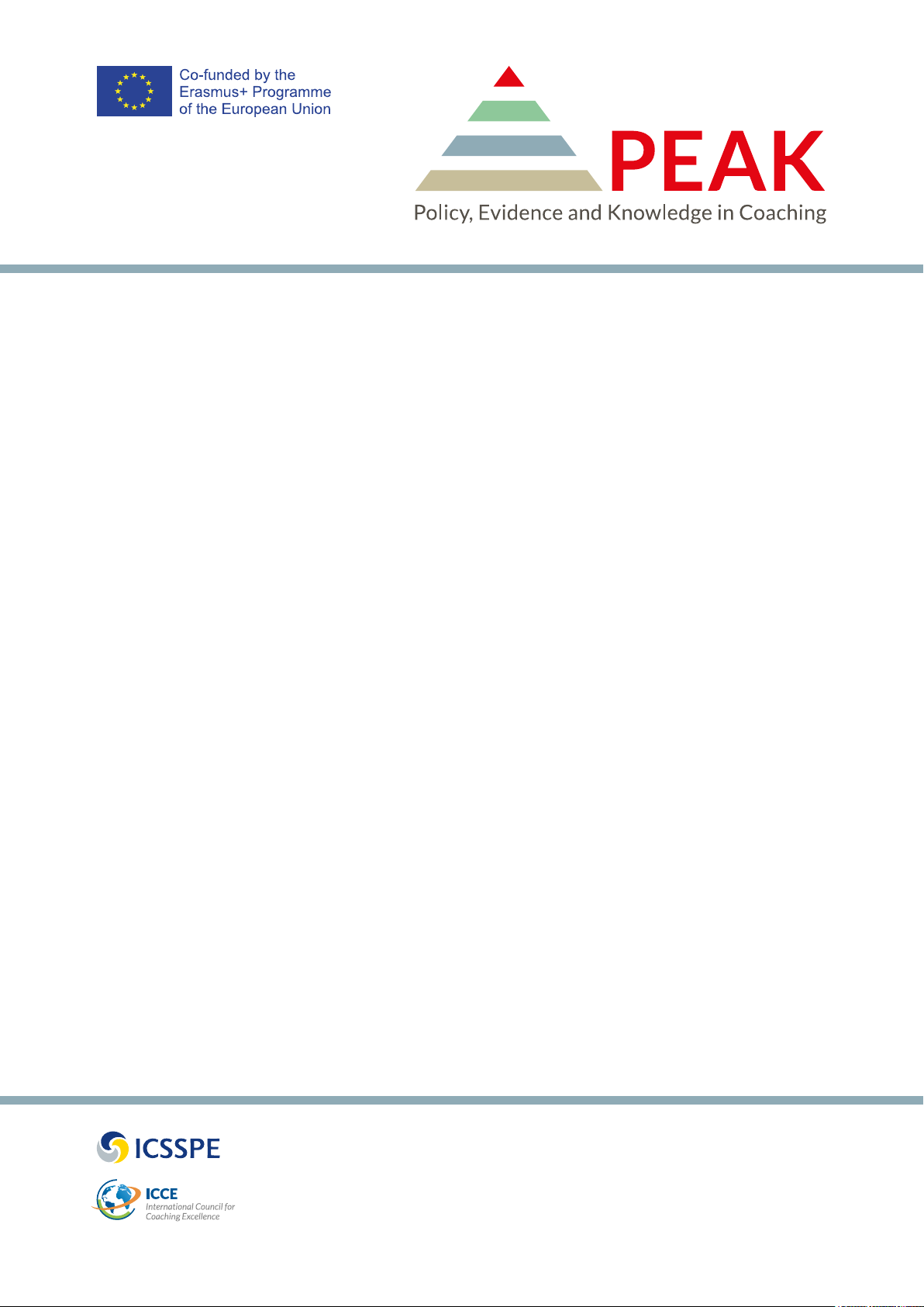 Framework for Coaching Policies: Nine Good Governance Recommendations