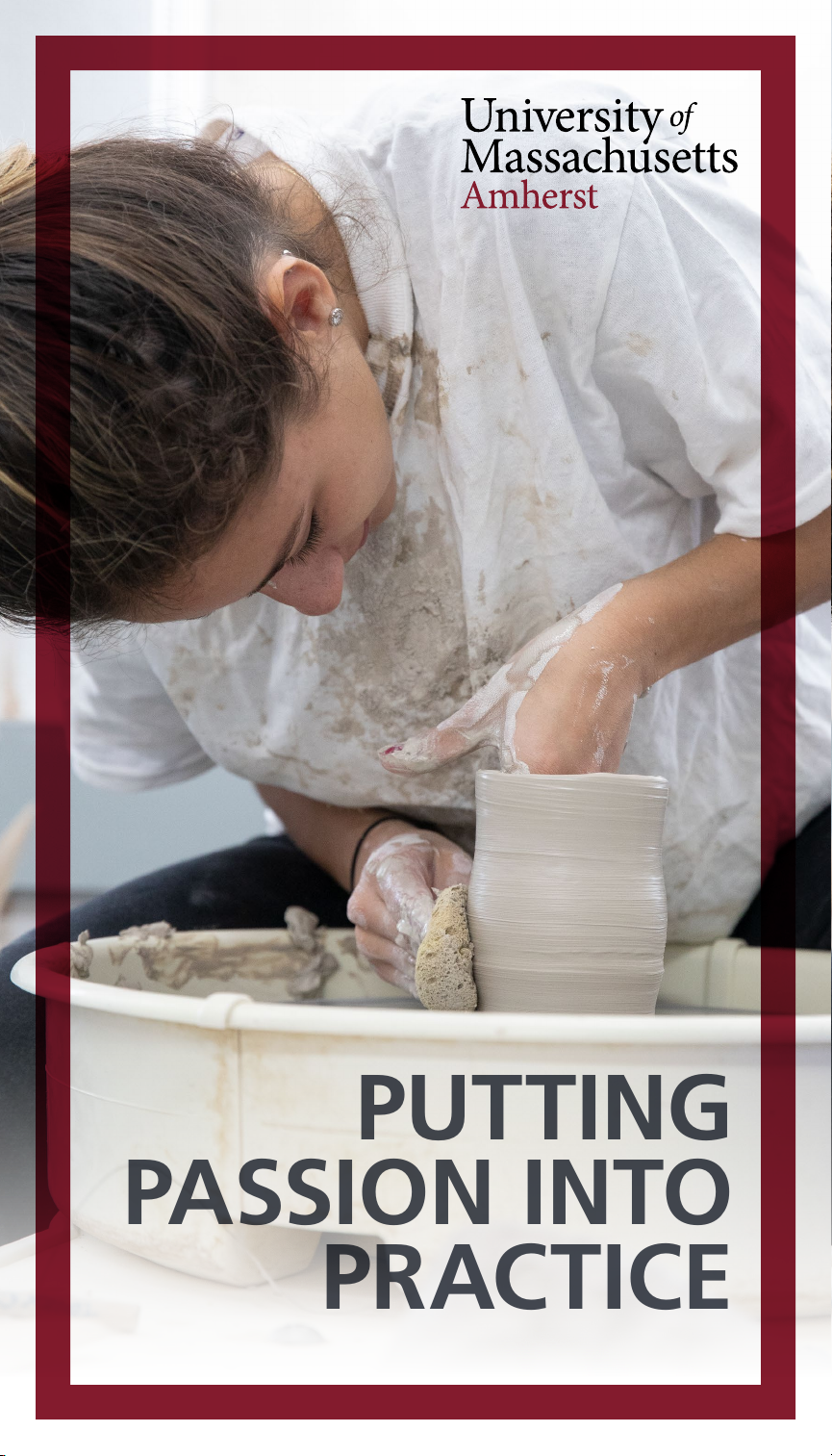 Putting Passion into Practice