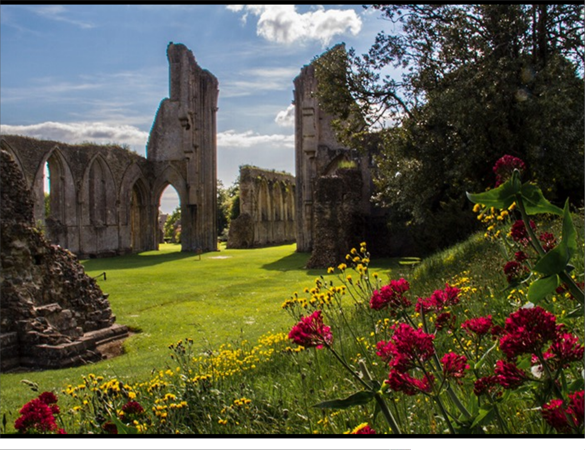 HISTORY OF ENGLAND, FALL QUARTER WEEK ELEVEN THE TUDORS