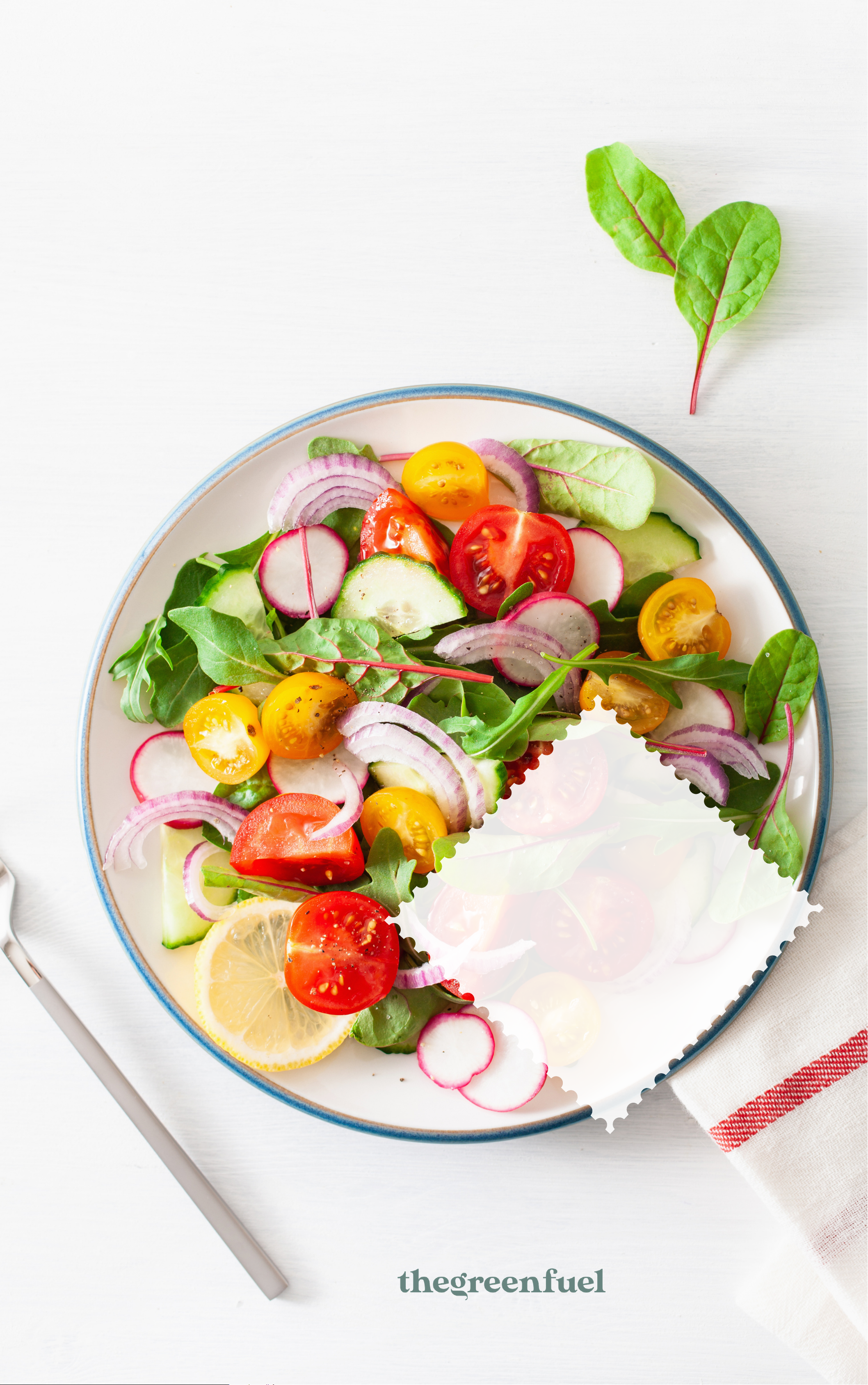 Introducción a la Alimentación Cíclica Femenina
