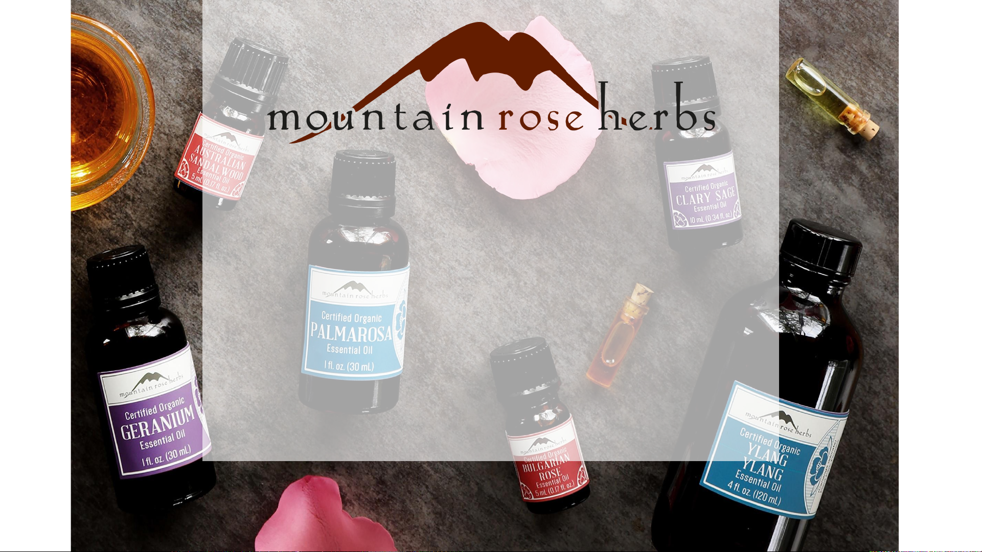 Exploring Aromatherapy & Essential Oils