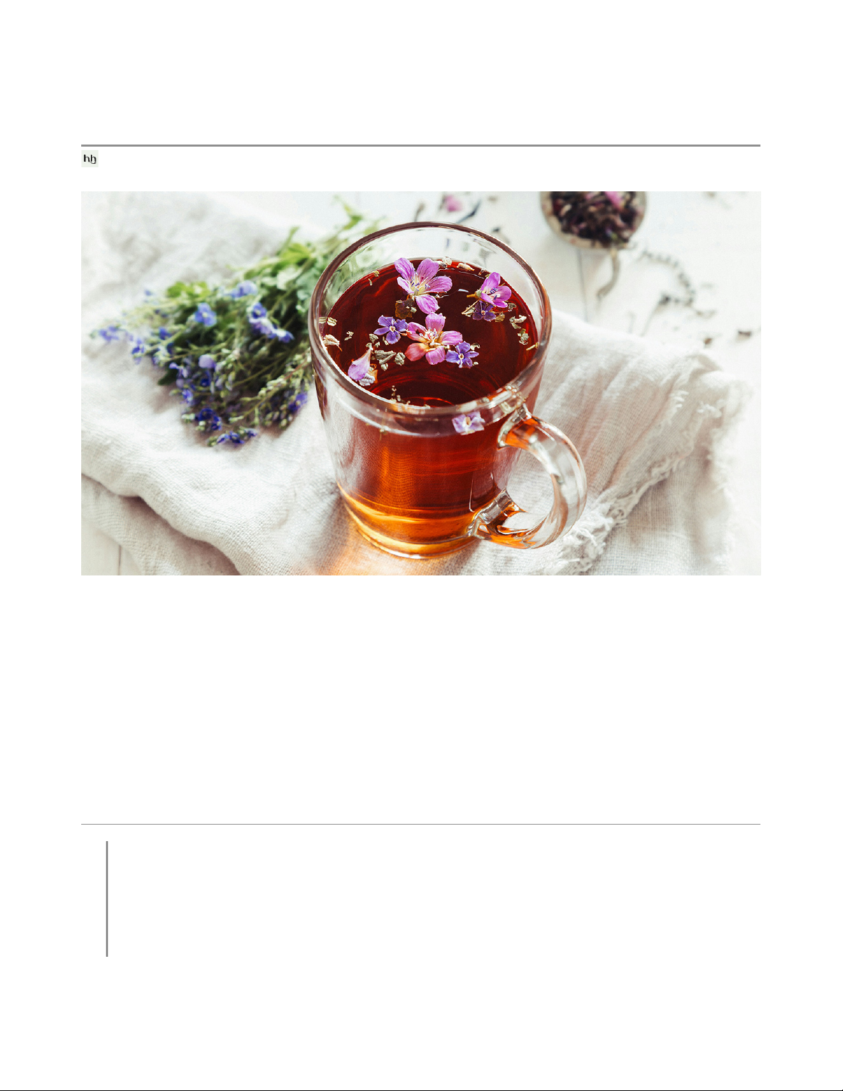 Luz de Maria's Medicinal Plants & Natural Remedies (2024)
