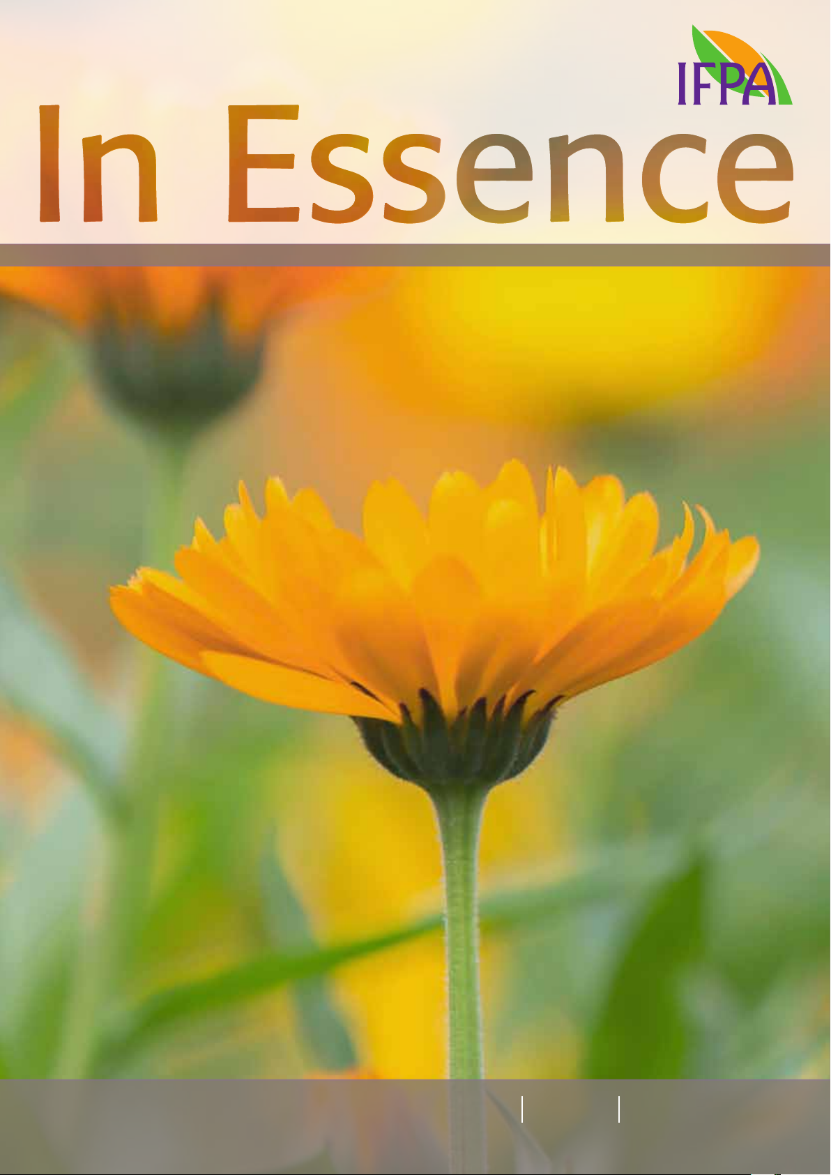 In Essence: Journal of the International Federation of Professional Aromatherapists