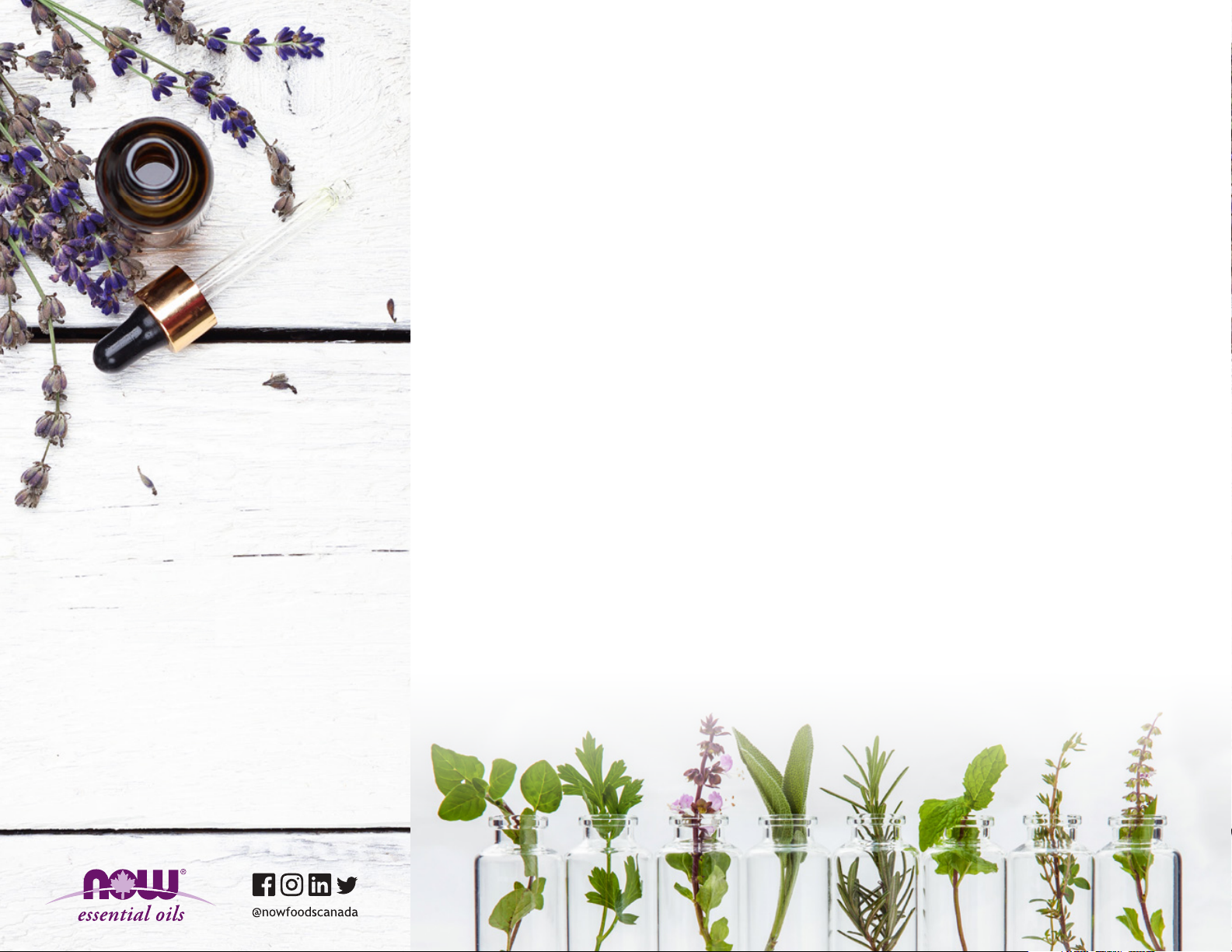 Making Perfumes Using Essential Oils