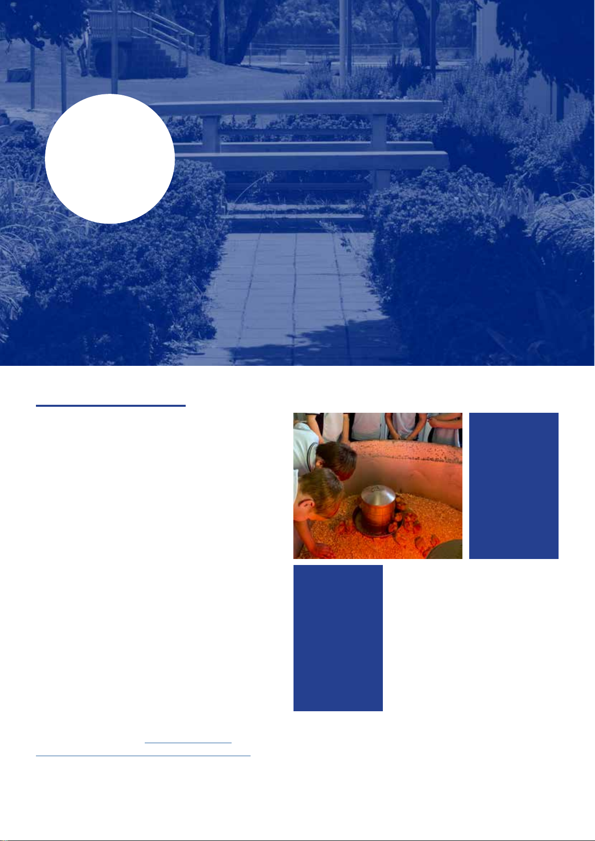 Tintinara Area School NEWSLETTER