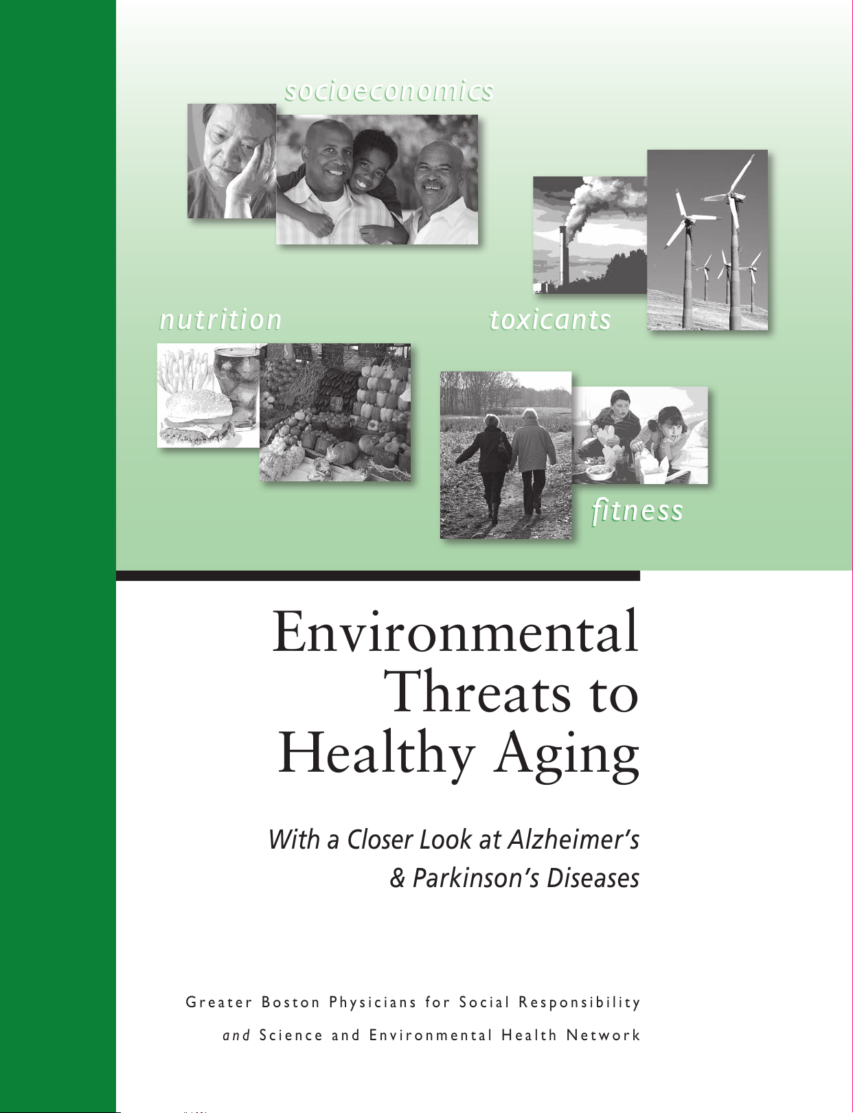 Environmental Threats to Healthy Aging