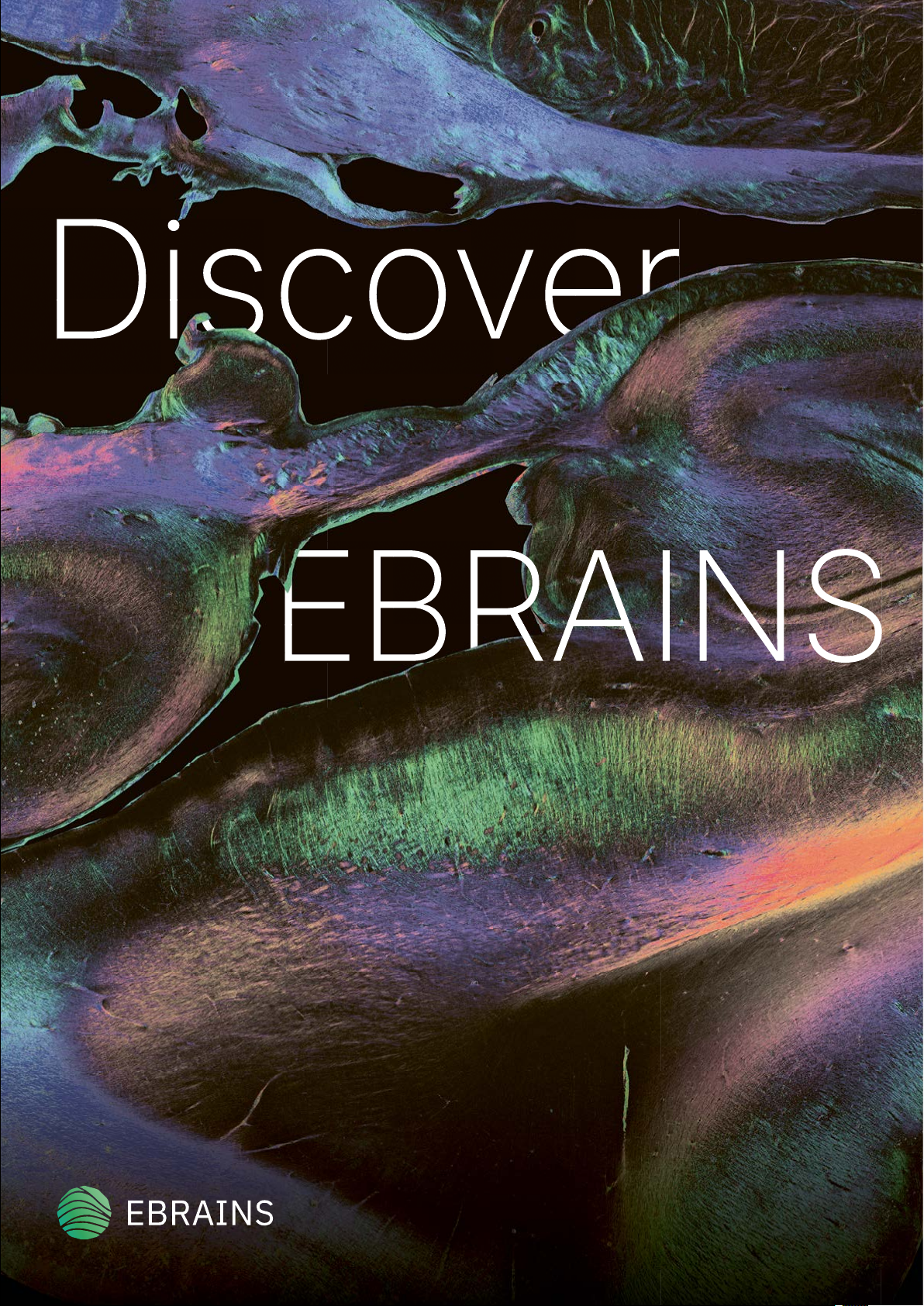 Discover EBRAINS