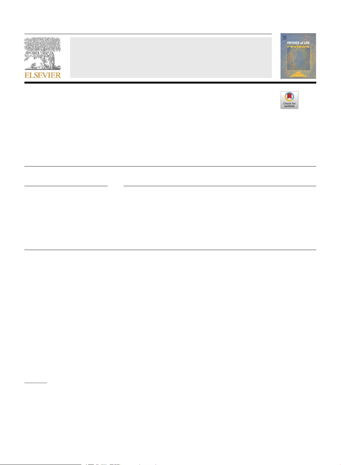 Connectivity analyses for task-based fMRI