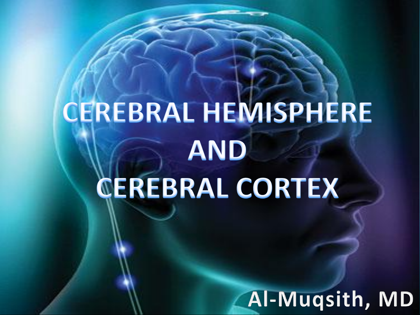 CEREBRAL HEMISPHERE AND CEREBRAL CORTEX