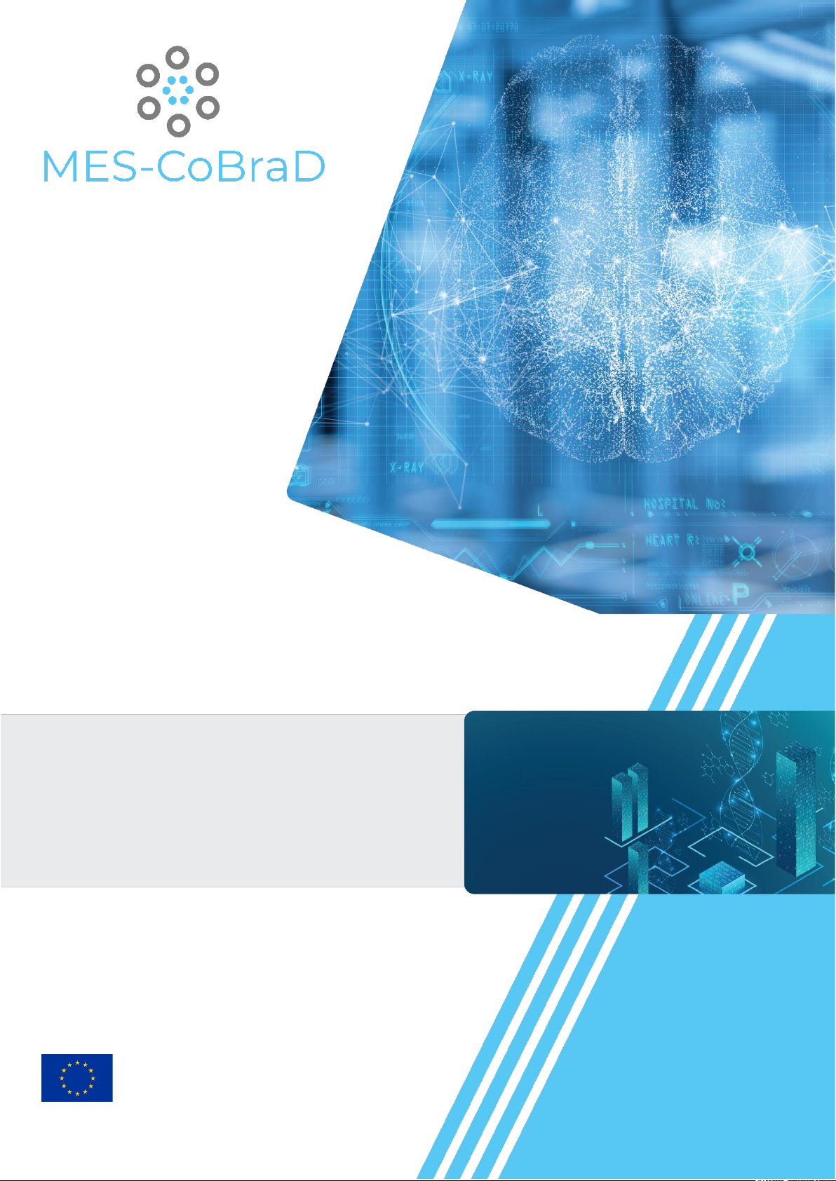 MES-CoBraD Advanced Analytics Release 1.00