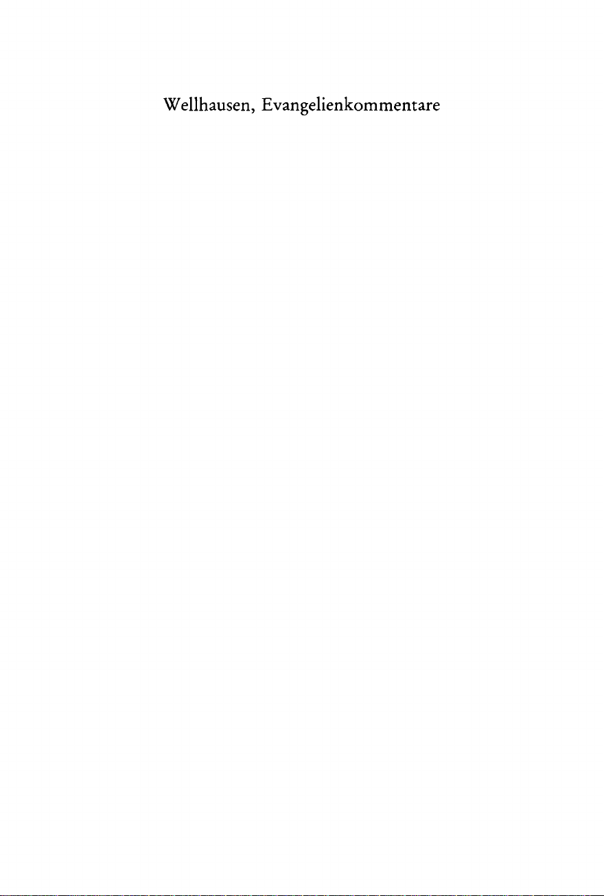 Evangelienkommentare