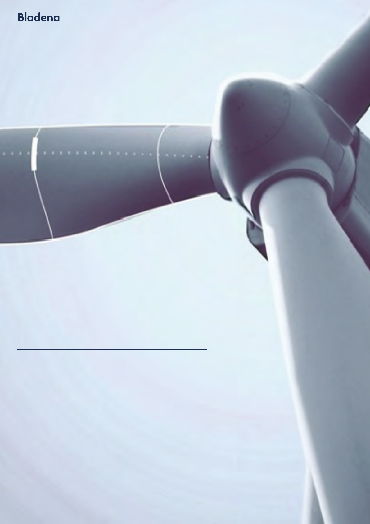 Structural weaknesses of blades in operation