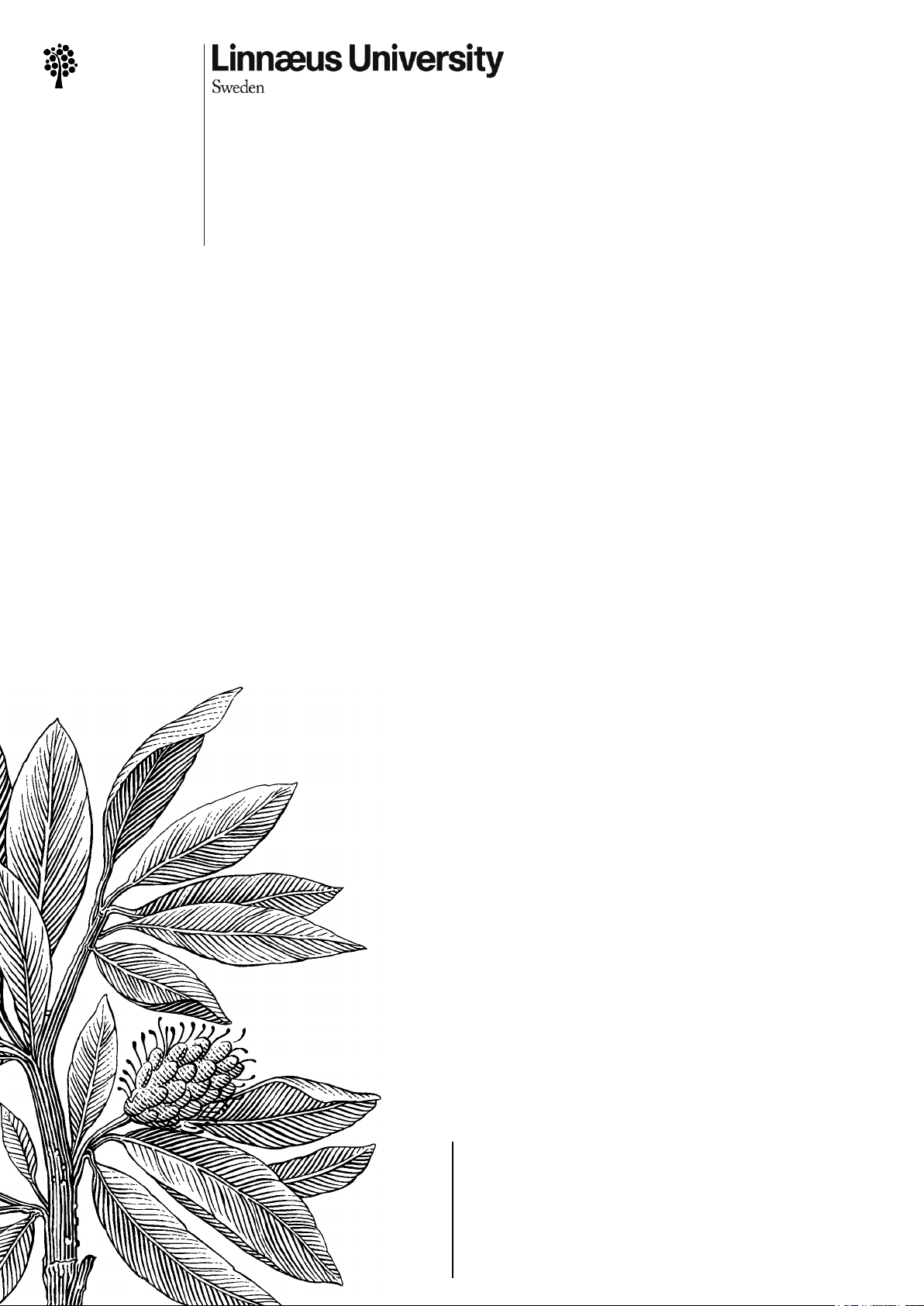 Reshaping Samoan Relations - A study on the increasing reports regarding violence against women in the rural and urban areas of Samoa