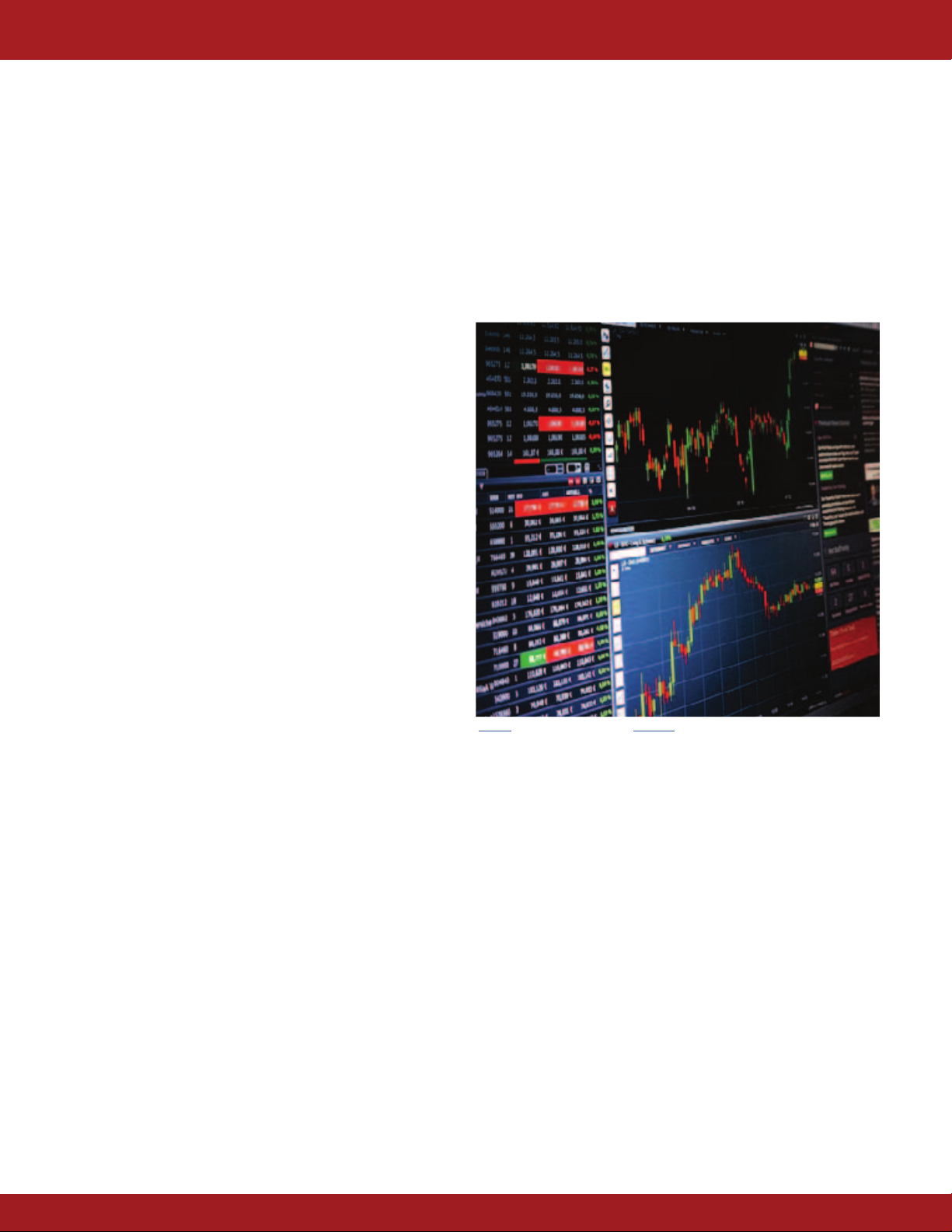 Timing Solution Forecast the Markets Instantly