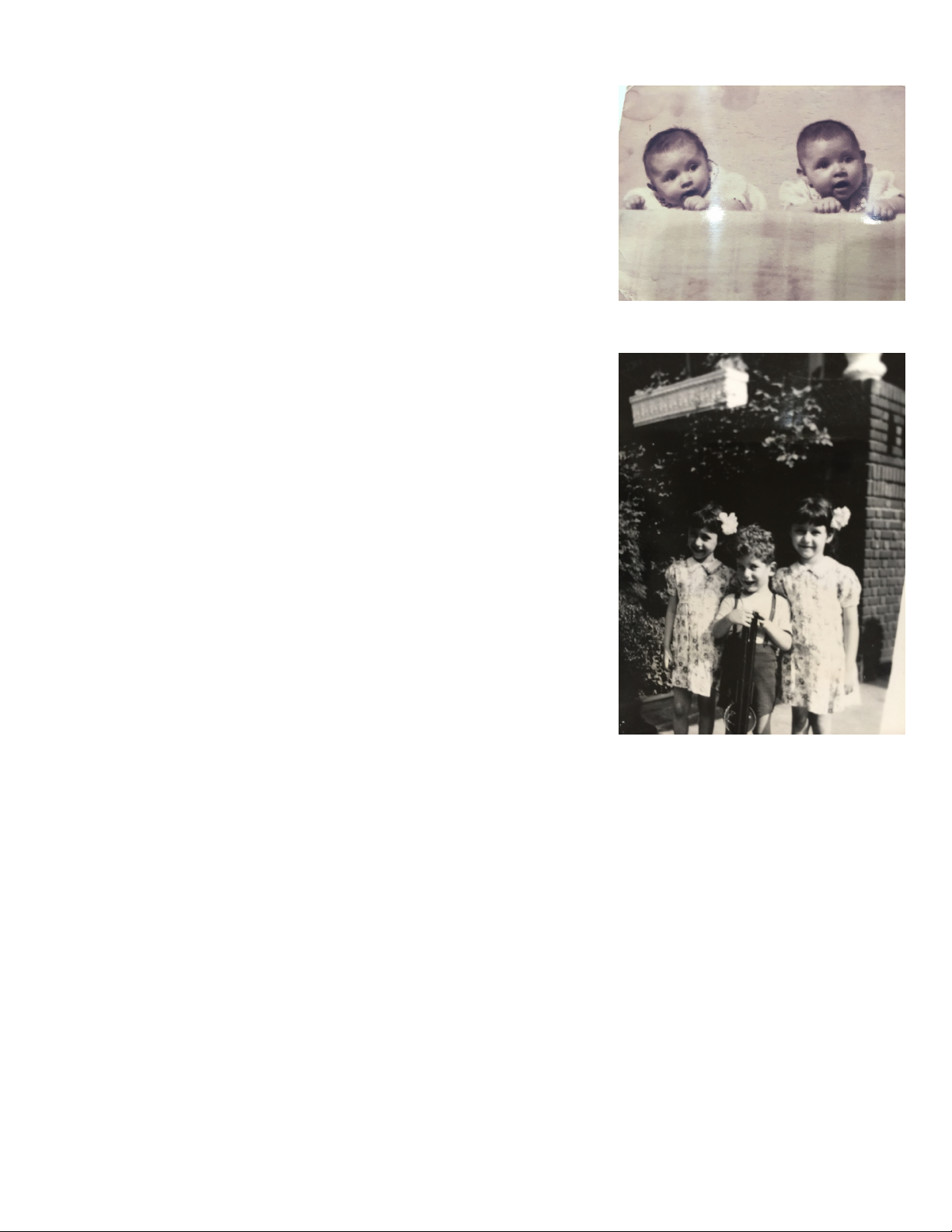 LATE BLOOMER GUEST BLOG
