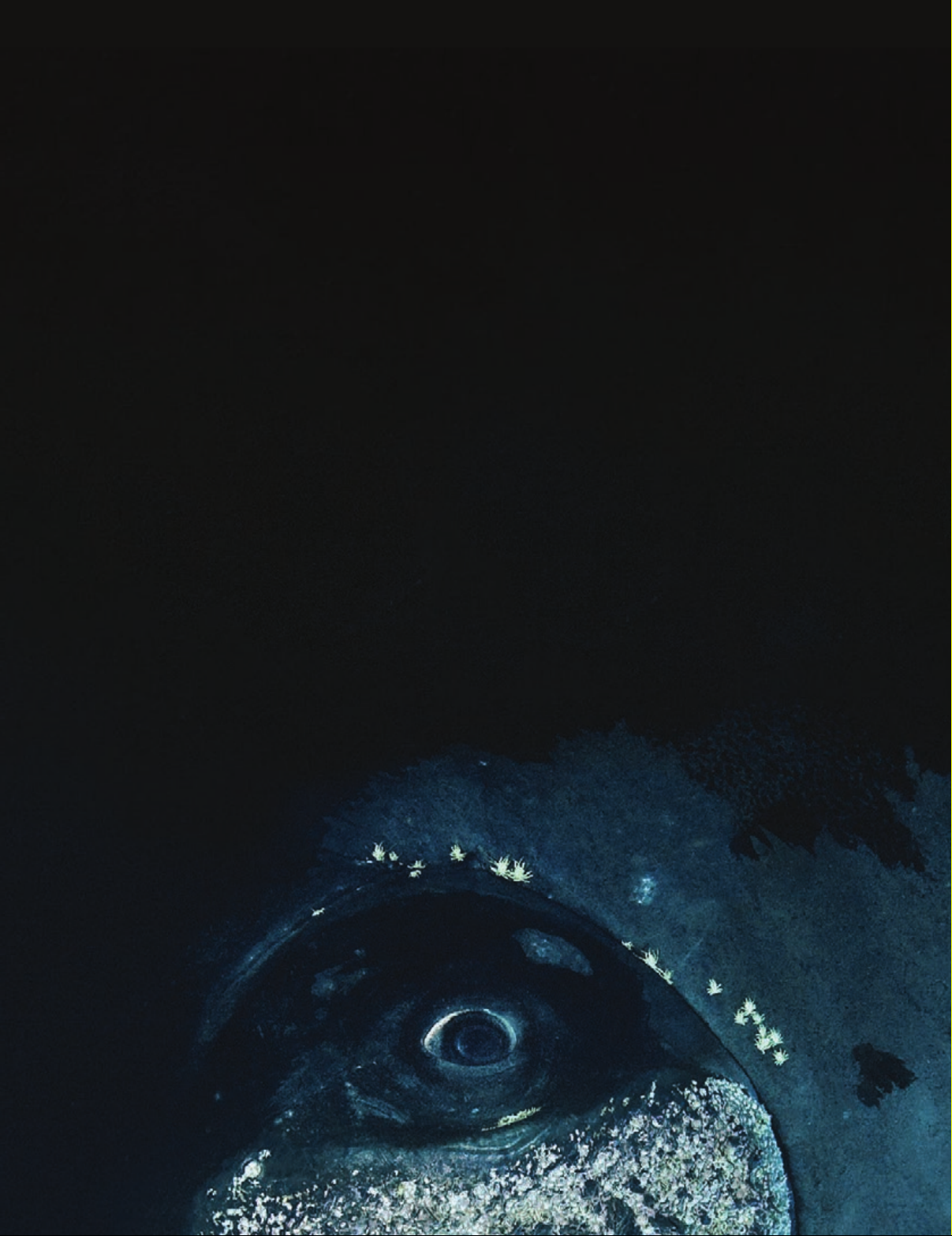 Black Paper: Writing in a Dark Time