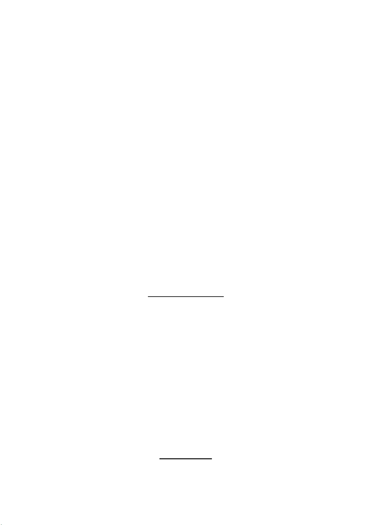 CURRICULUM VITAE
