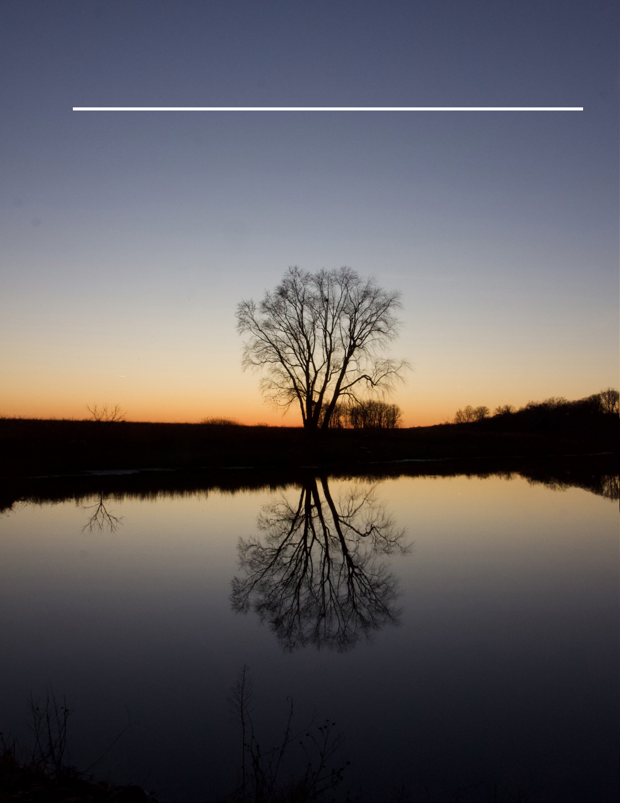 The Bell Tower: Undergraduate Literary Journal