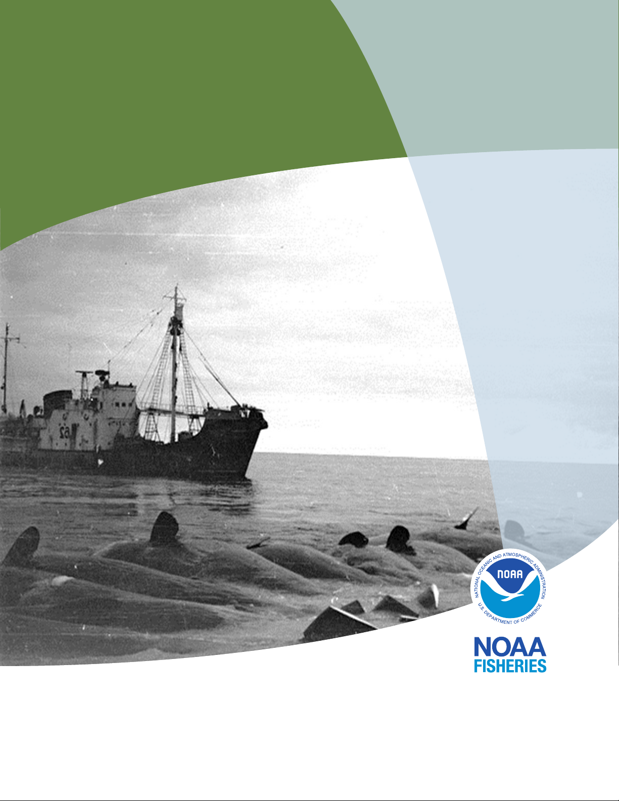 Resurrecting Leviathan: Reconstructing sperm whale catches in the North Pacific