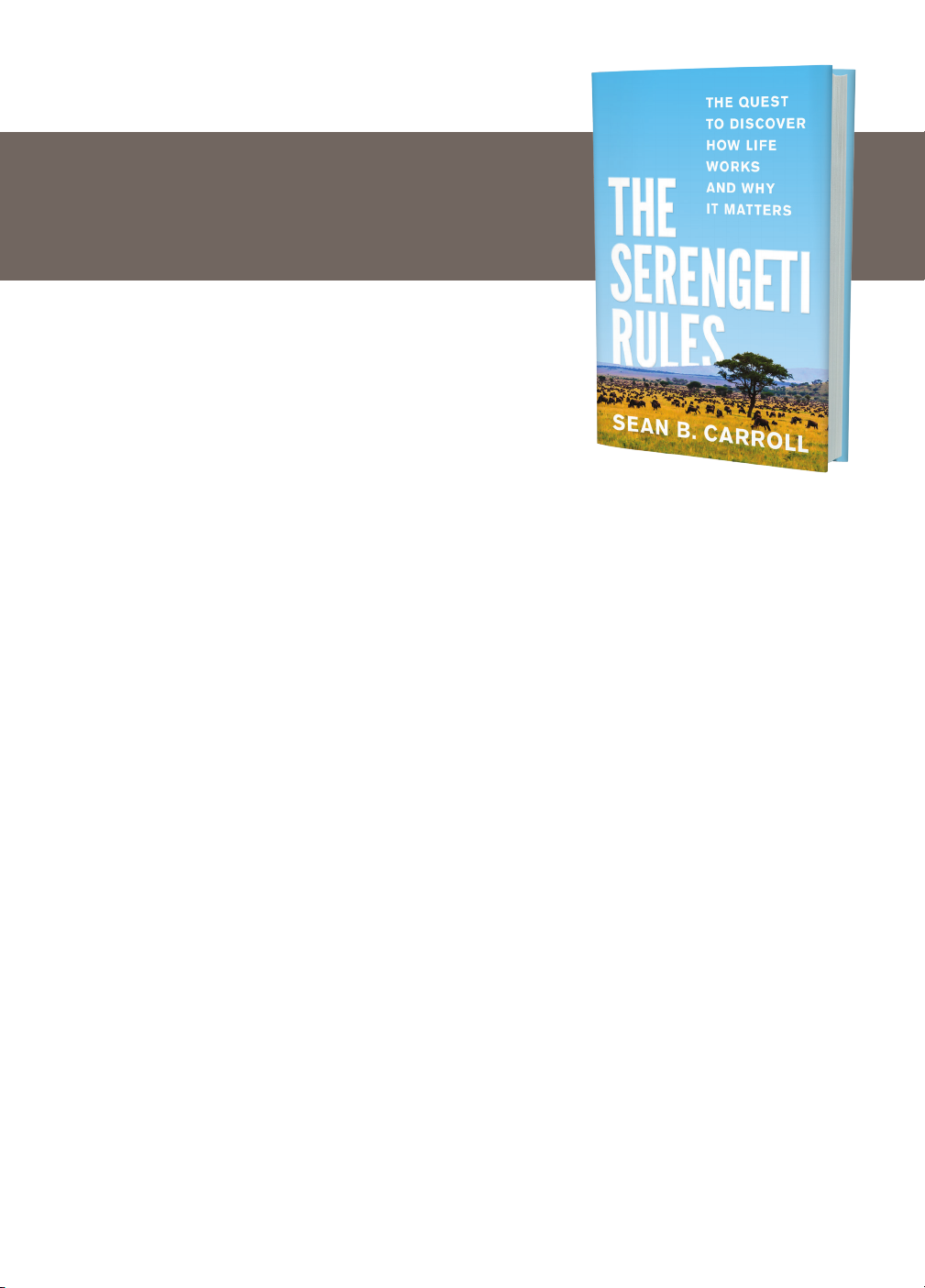 The Serengeti Rules