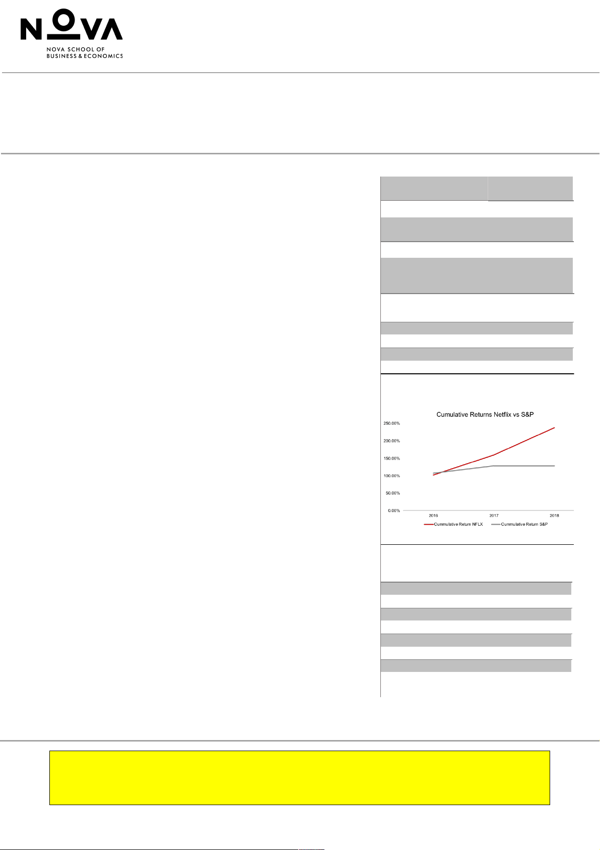 Netflix Company Report
