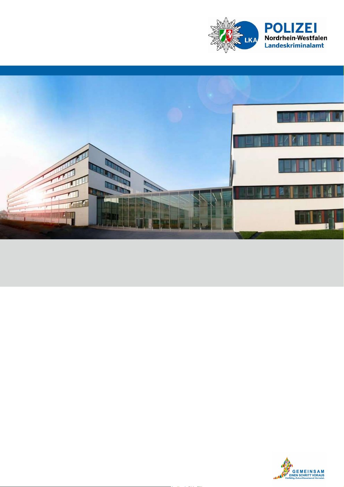 Organisierte Kriminalität 2024