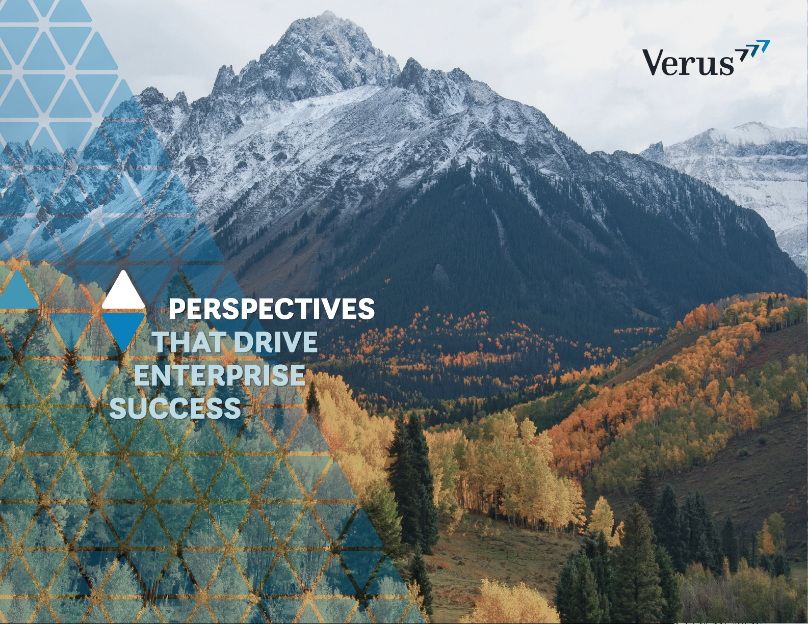 Perspectives That Drive Enterprise Success