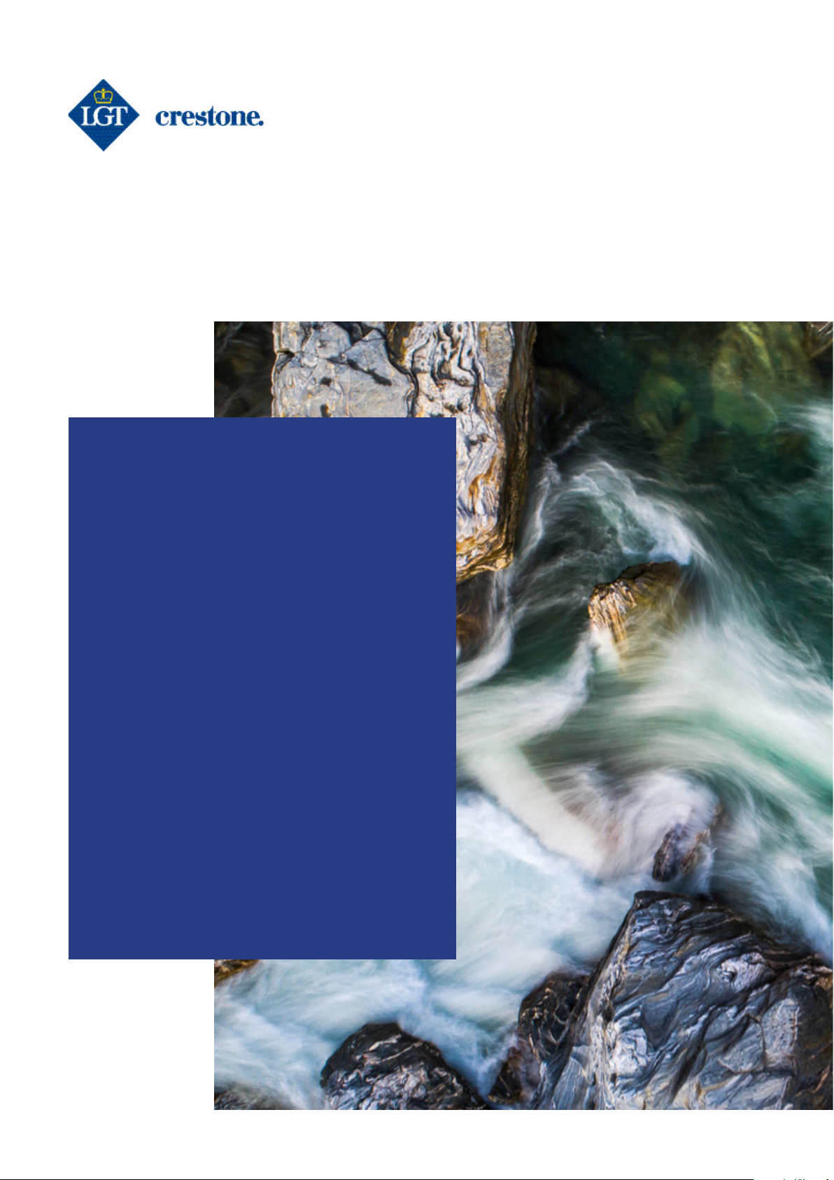 Outlook 2025: Navigating disruption, discovering opportunity