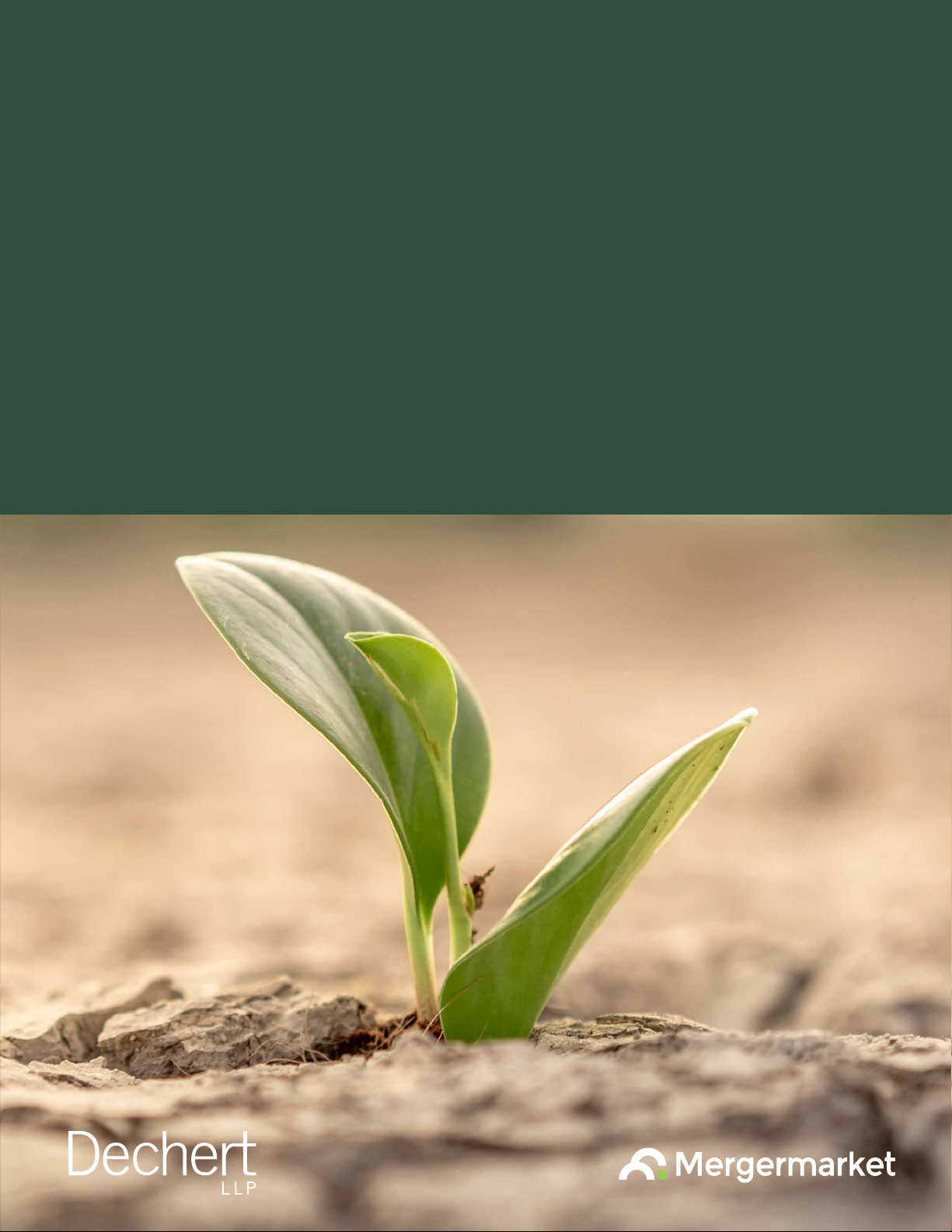 2025 Global Private Equity Outlook