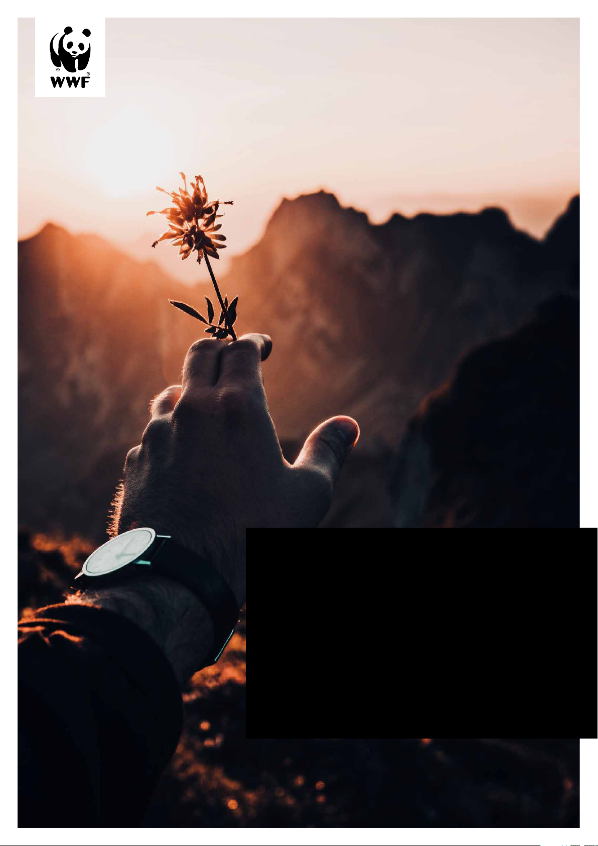 TIME FOR CHANGE: DEMANDING MORE TRANSPARENCY AND RESPONSIBILITY IN THE WATCH AND JEWELLERY SECTOR Sustainability Rating and Industry Report 2023