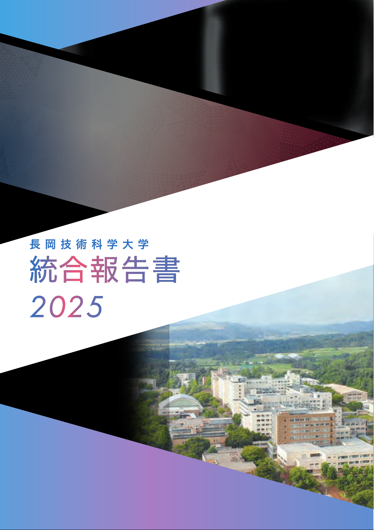 統合報告書