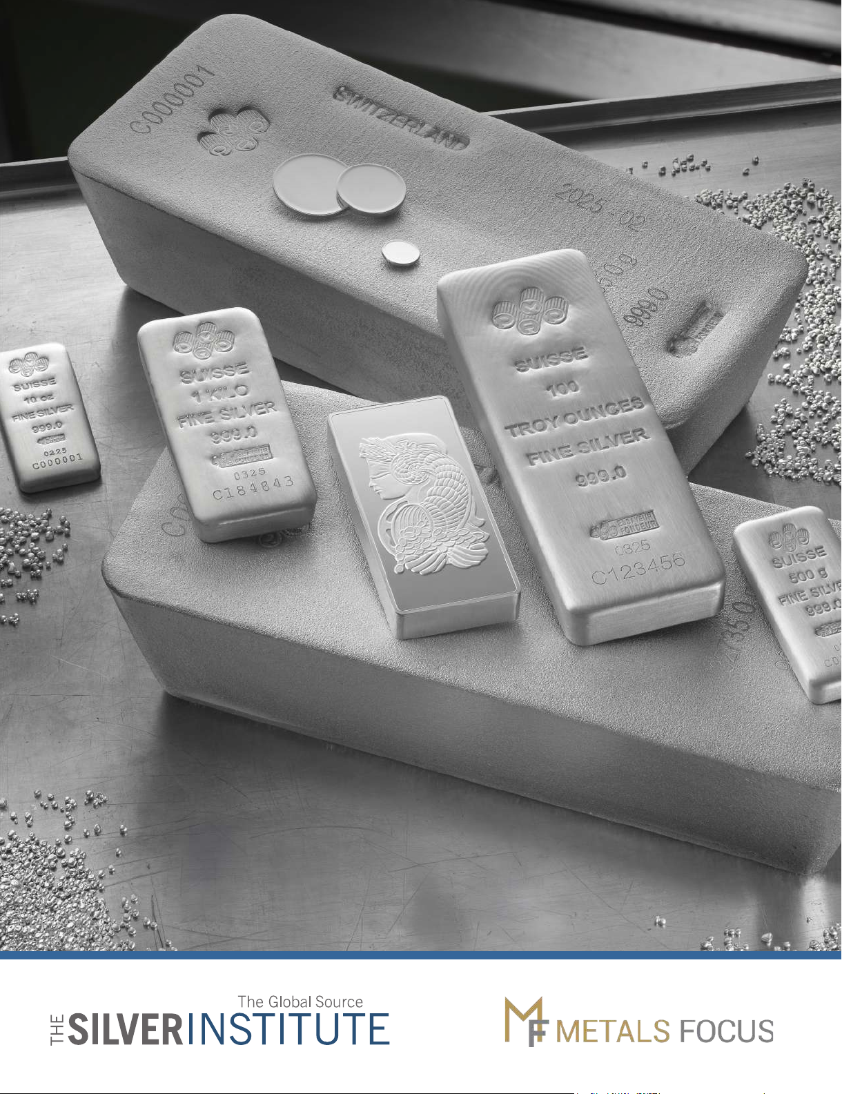 World Silver Survey 2025
