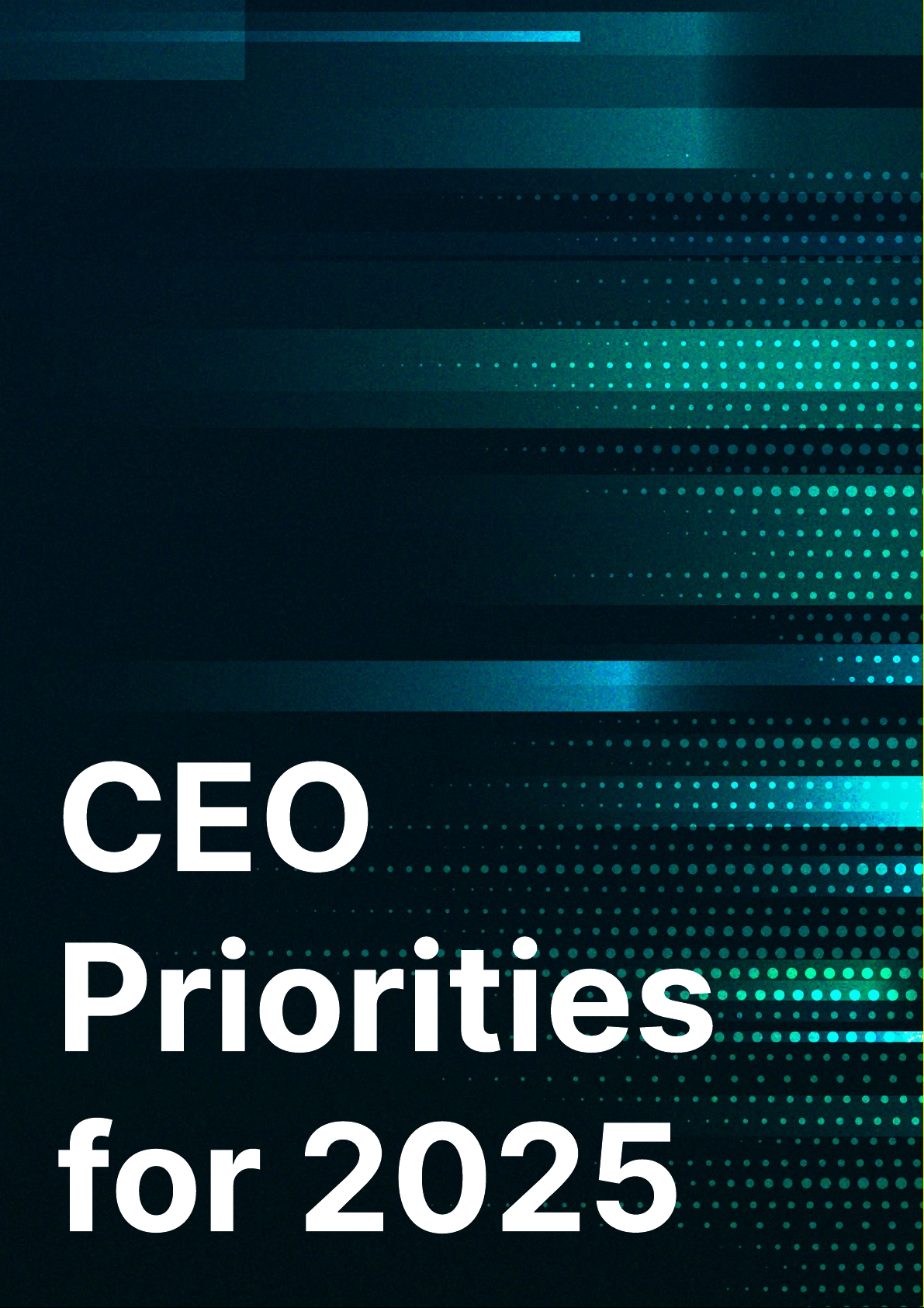 CEO Priorities for 2025