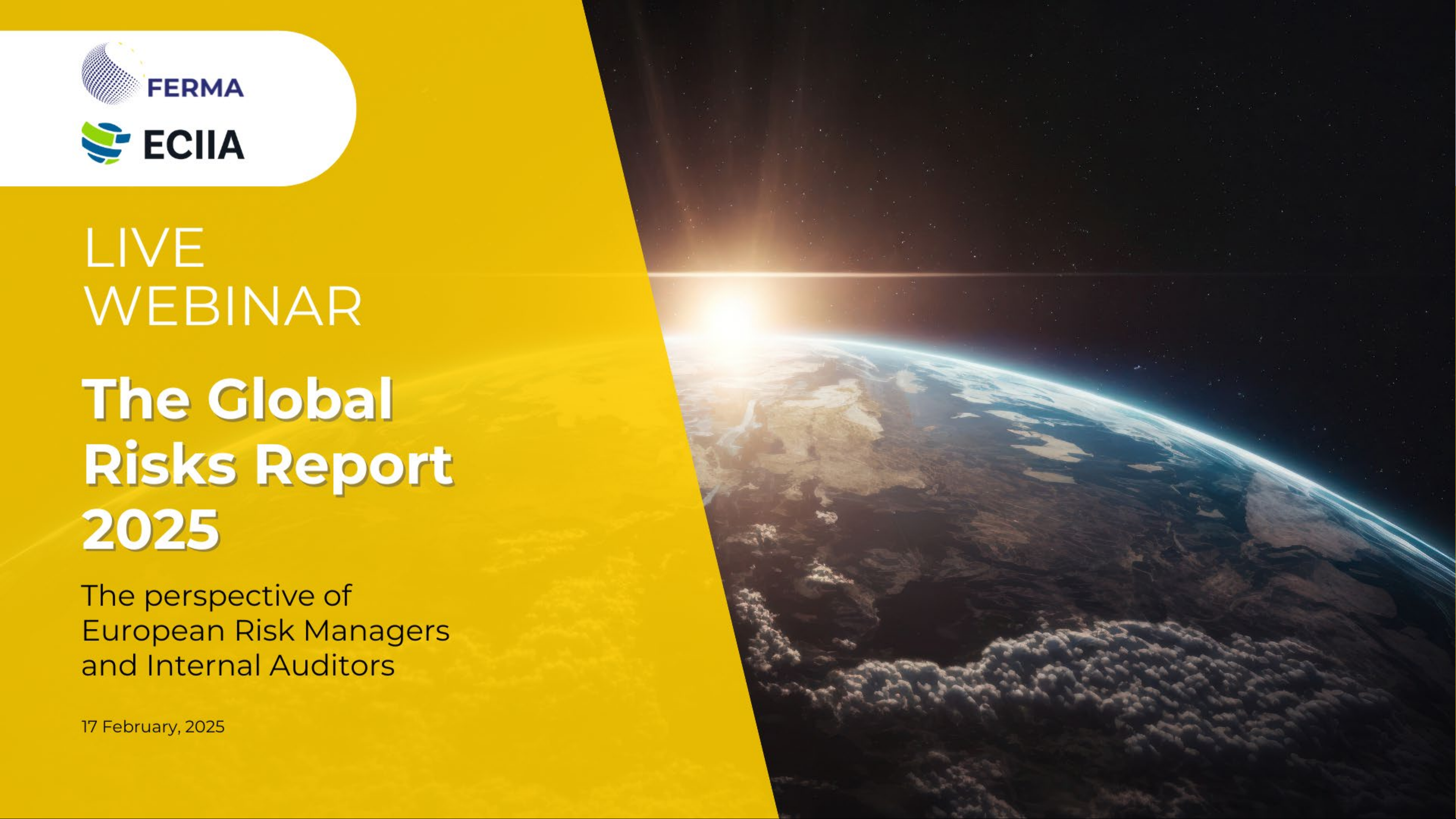 The Global Risks Report 2025: The perspective of European Risk Managers and Internal Auditors
