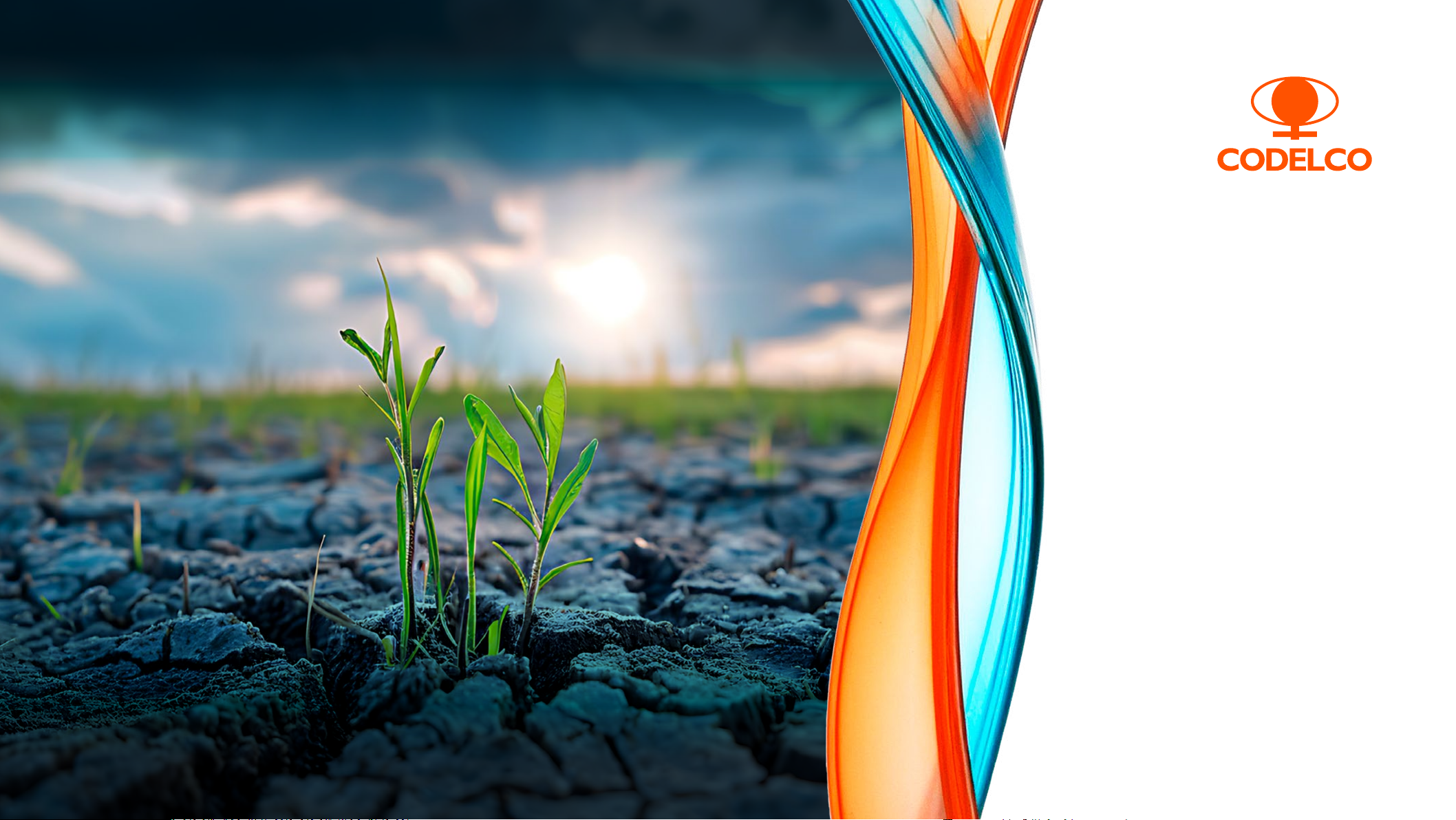 REPORTE DE CAMBIO CLIMÁTICO 2025