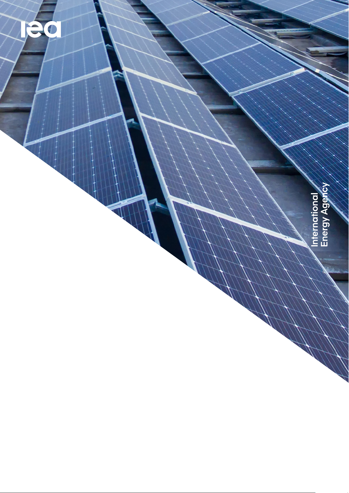 Renewables 2025: Analysis and forecast to 2030