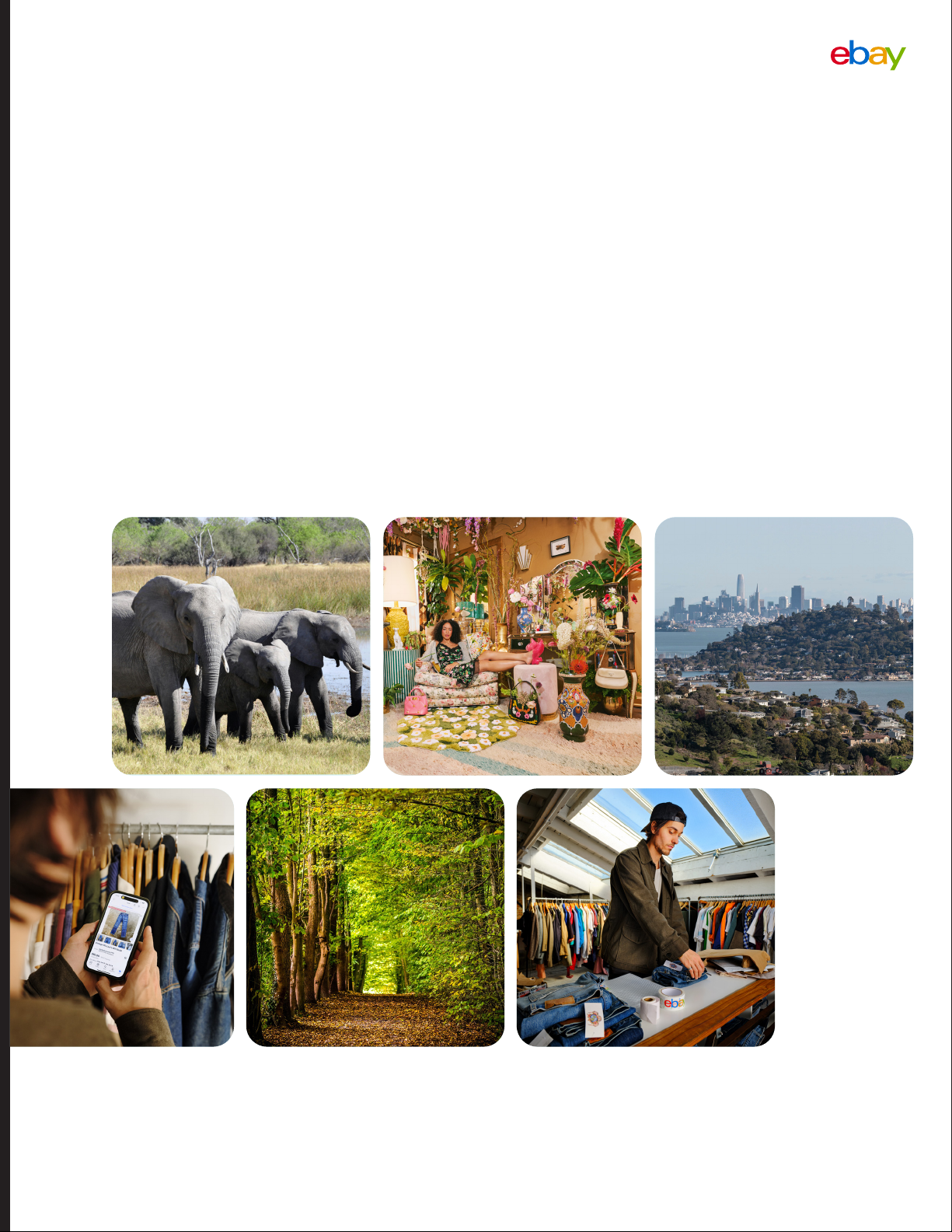 2024 Impact Report
