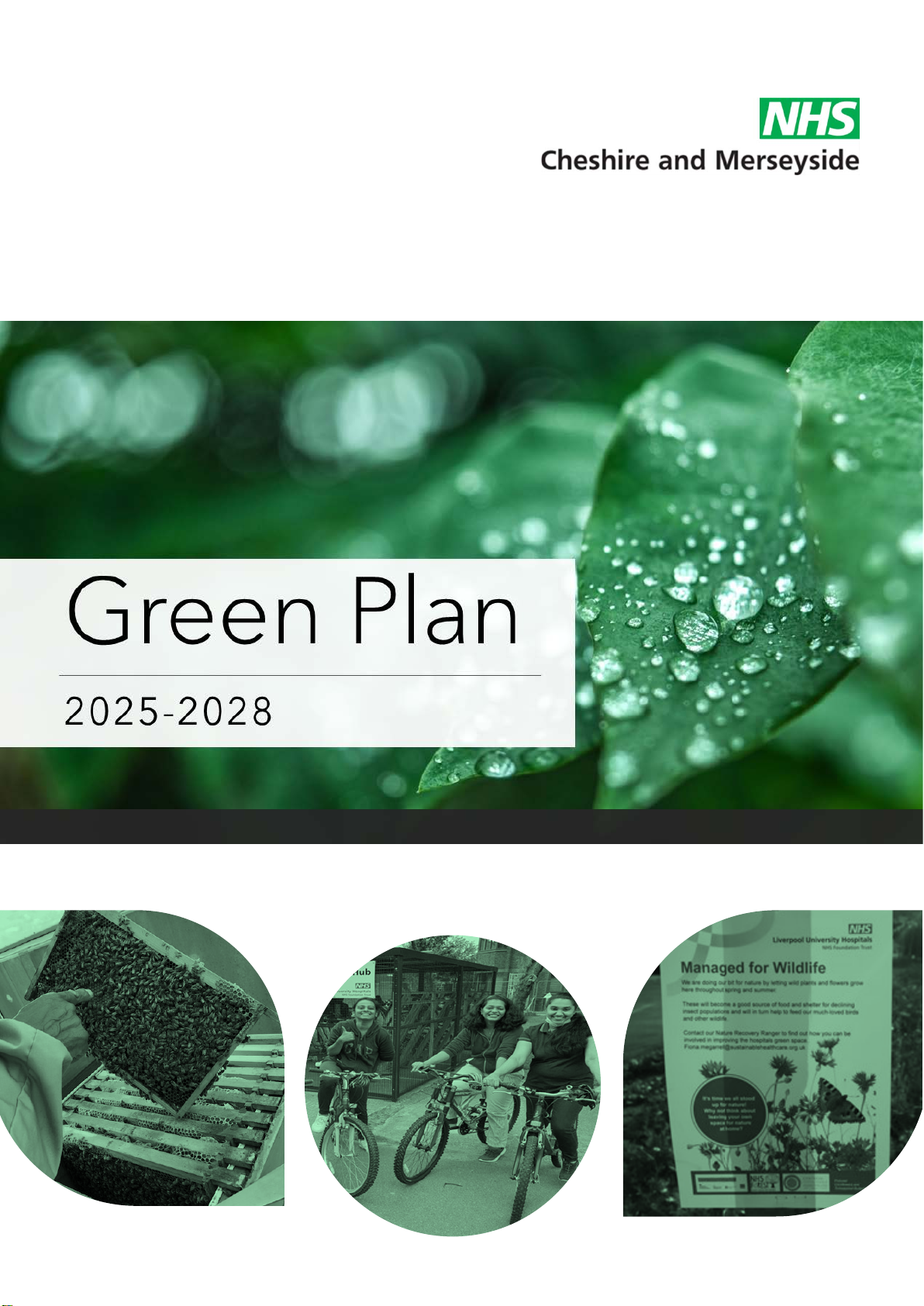Green Plan 2025-2028
