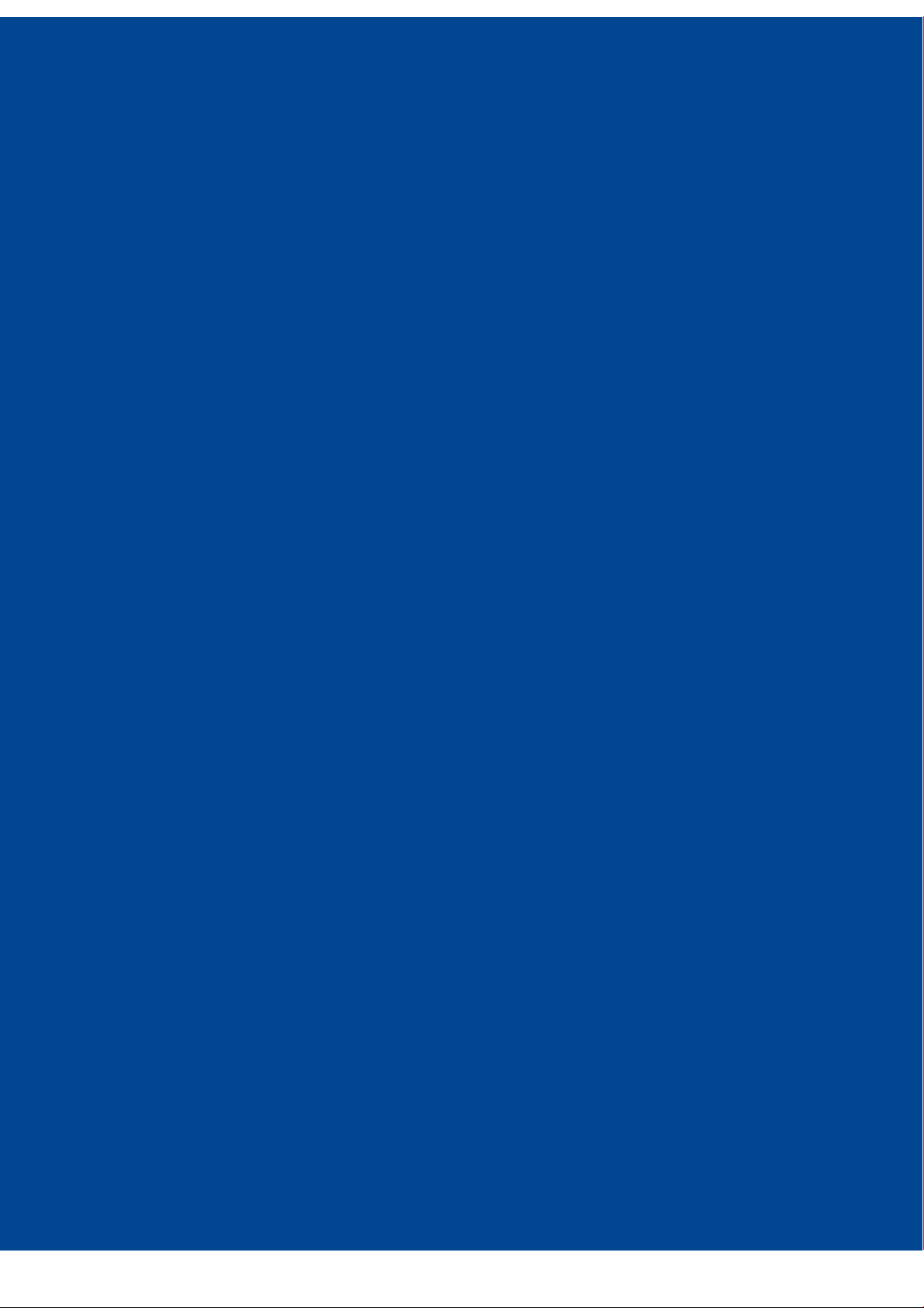 Consolidated Financial Statements 2024