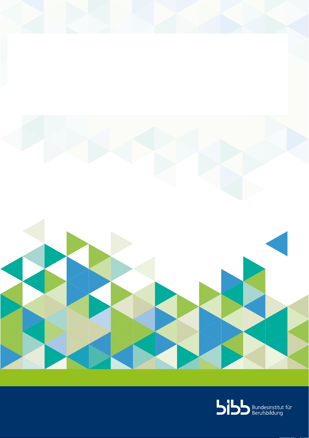 Datenreport zum Berufsbildungsbericht 2025