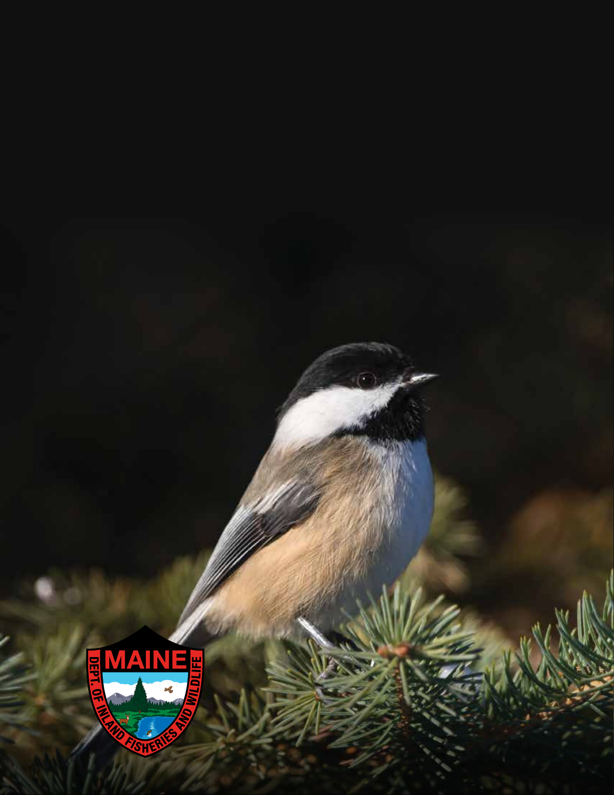 WILDLIFE RESEARCH & MANAGEMENT REPORT 2018