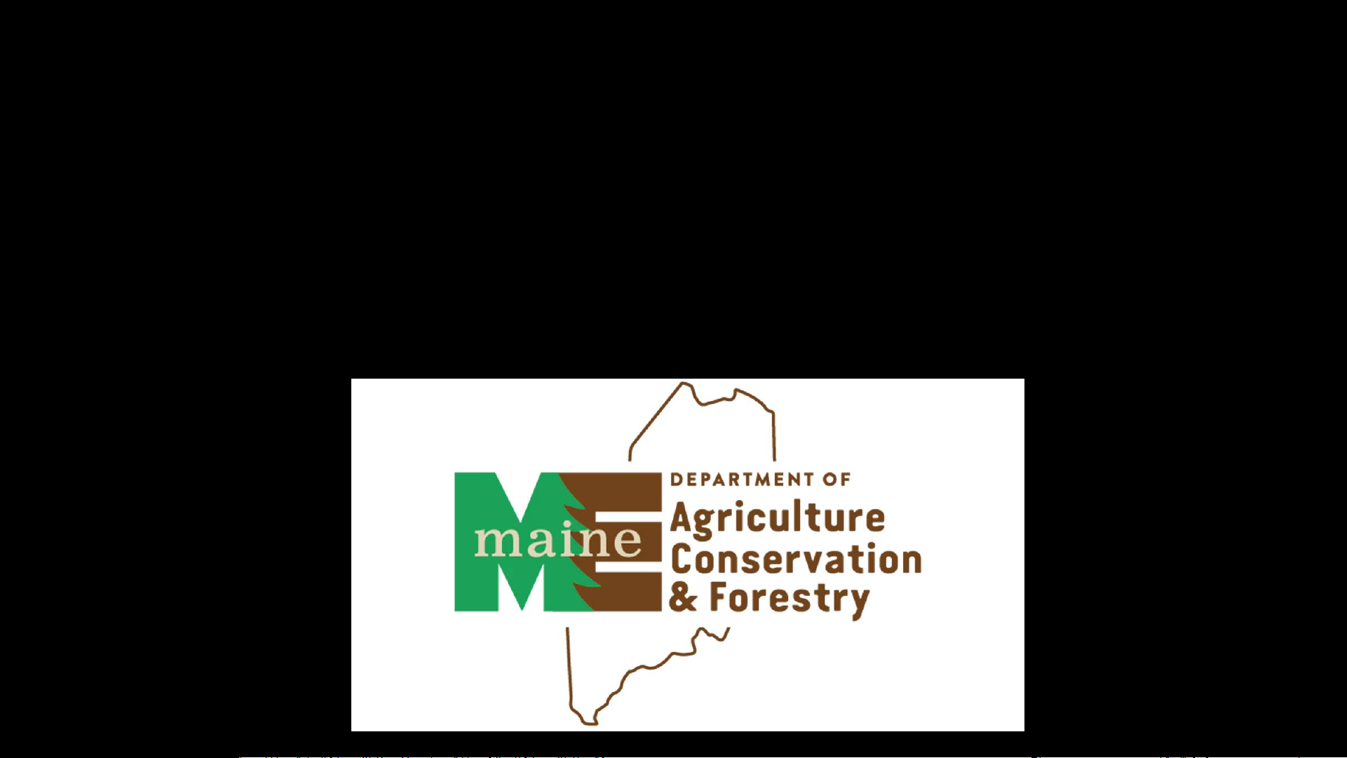 State of Maine Dog Licensing Database: Monthly 2025 Reports to AWP