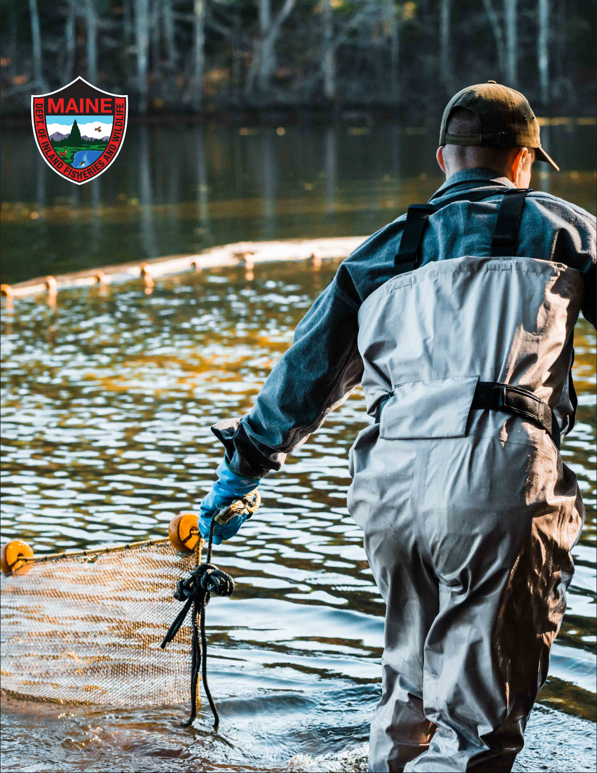 INLAND FISHERIES AND HATCHERIES STRATEGIC MANAGEMENT PLAN 2021-2035 Volume III Species Assessments