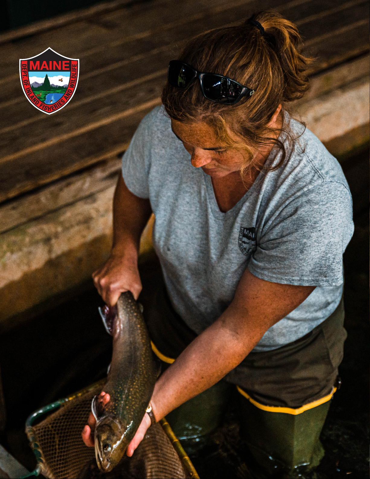 INLAND FISHERIES AND HATCHERIES STRATEGIC MANAGEMENT PLAN 2021-2035 Volume II Fisheries and Hatcheries Division Structure and Operation