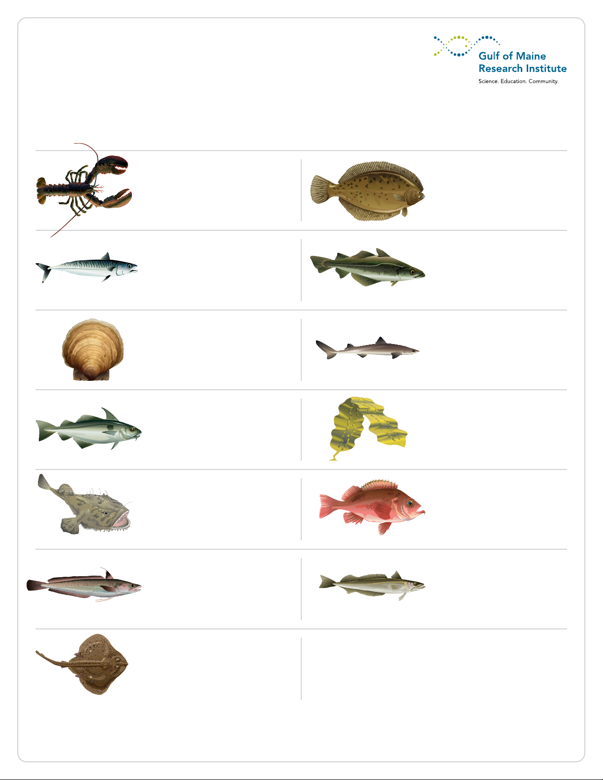 Gulf of Maine Responsibly Harvested® Verified Species