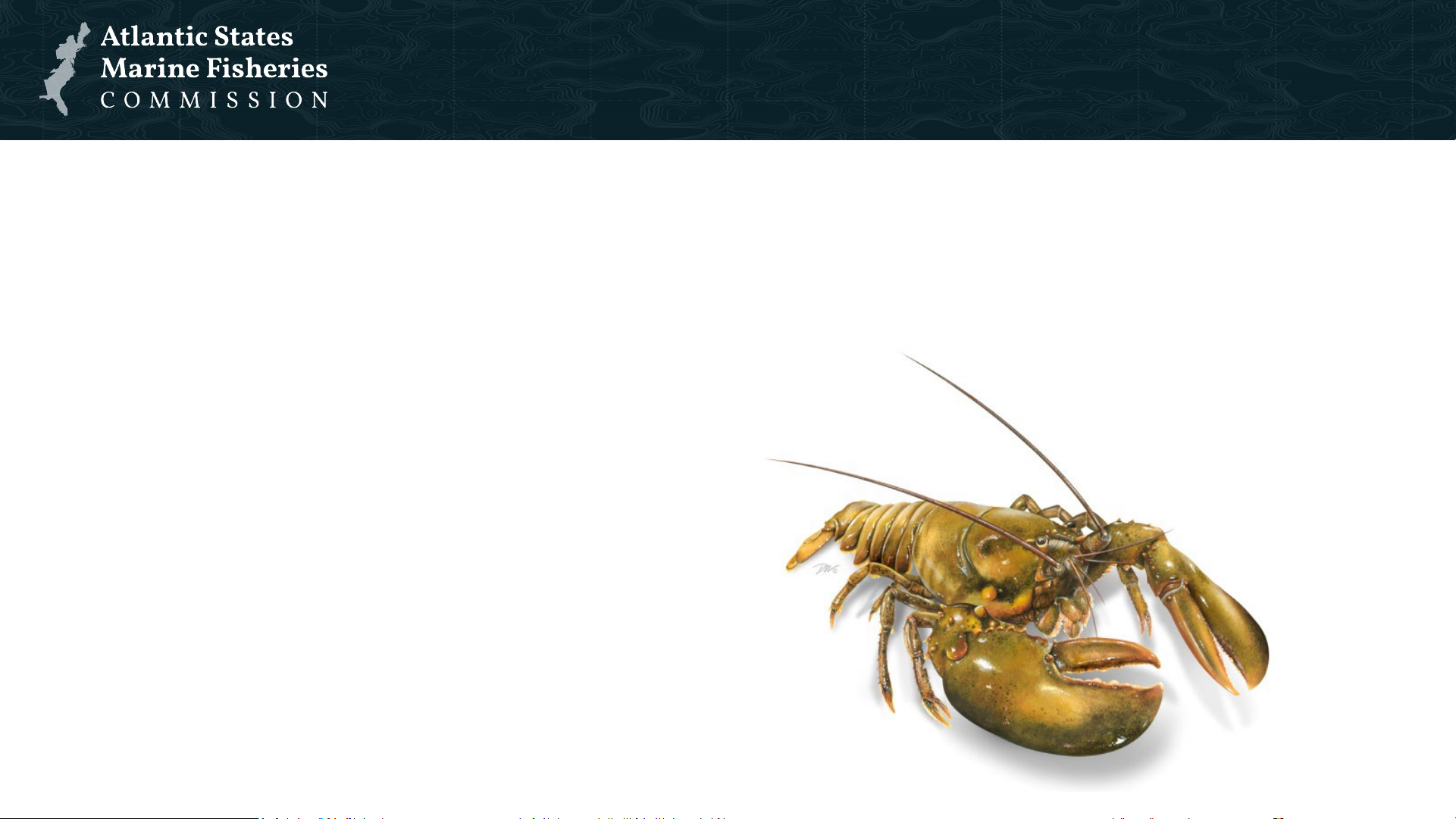 2025 American lobster stock assessment