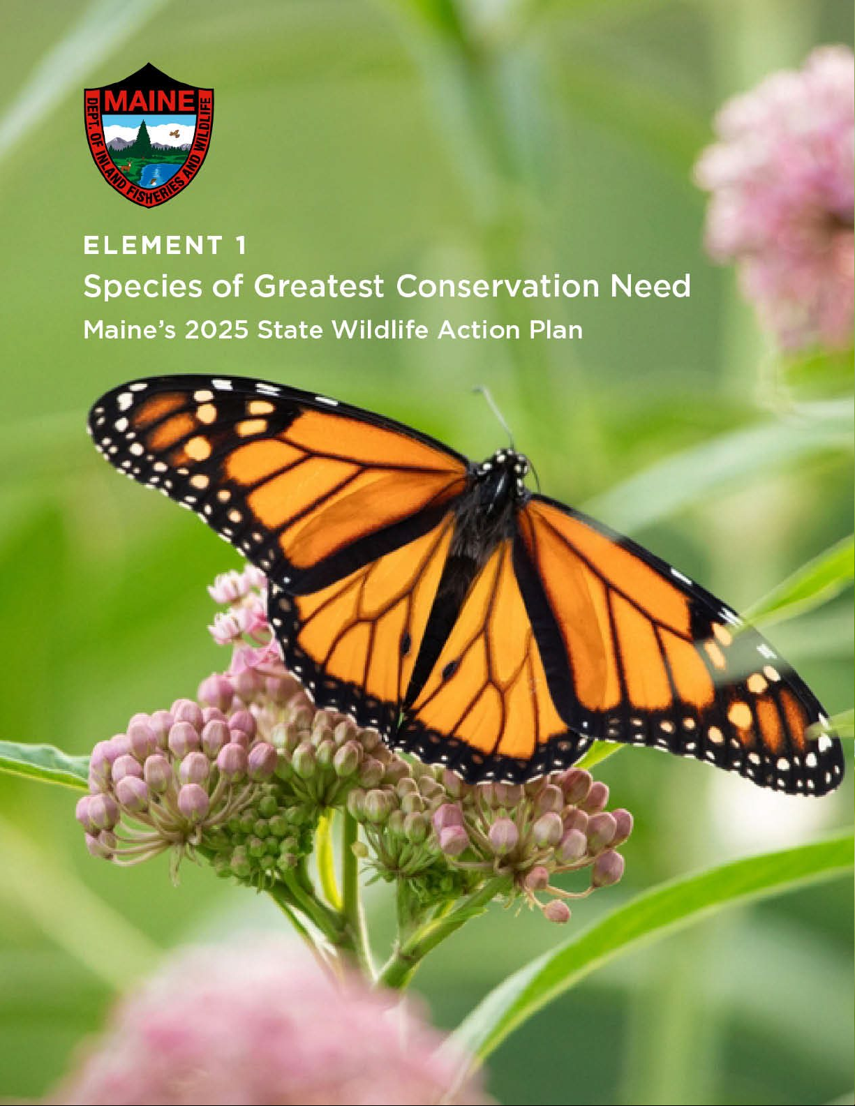 Maine's Wildlife Action Plan - 2025