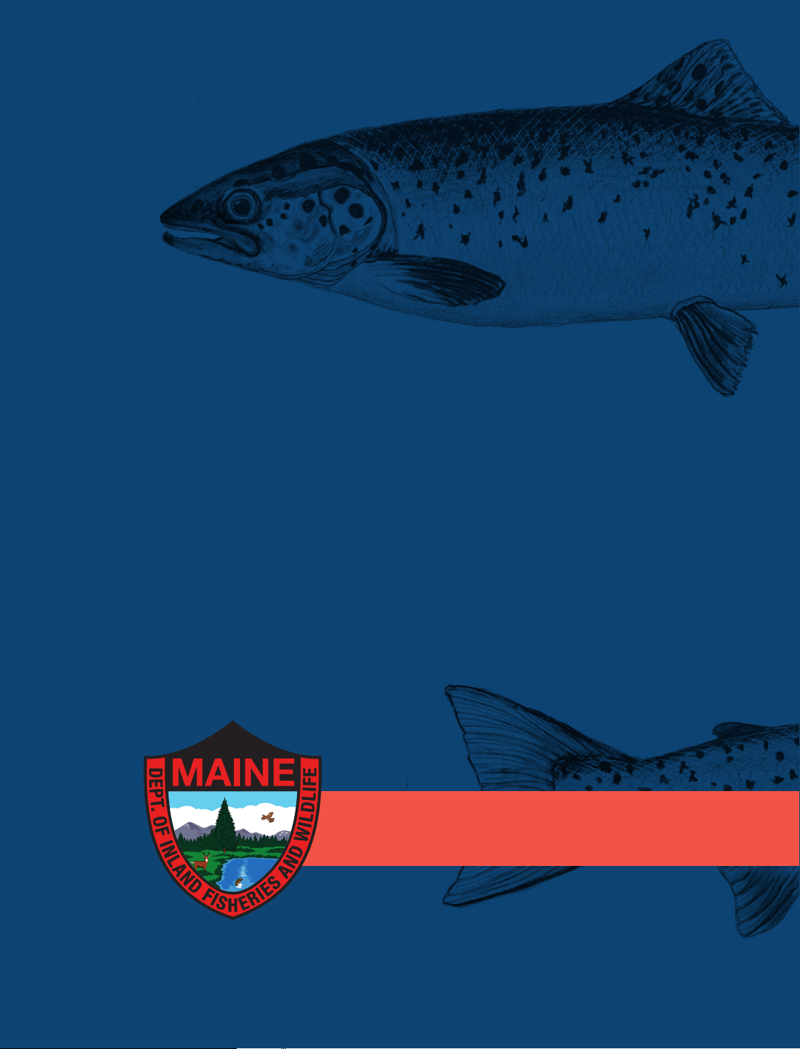 MAINE INLAND FISHING LAWS 2024